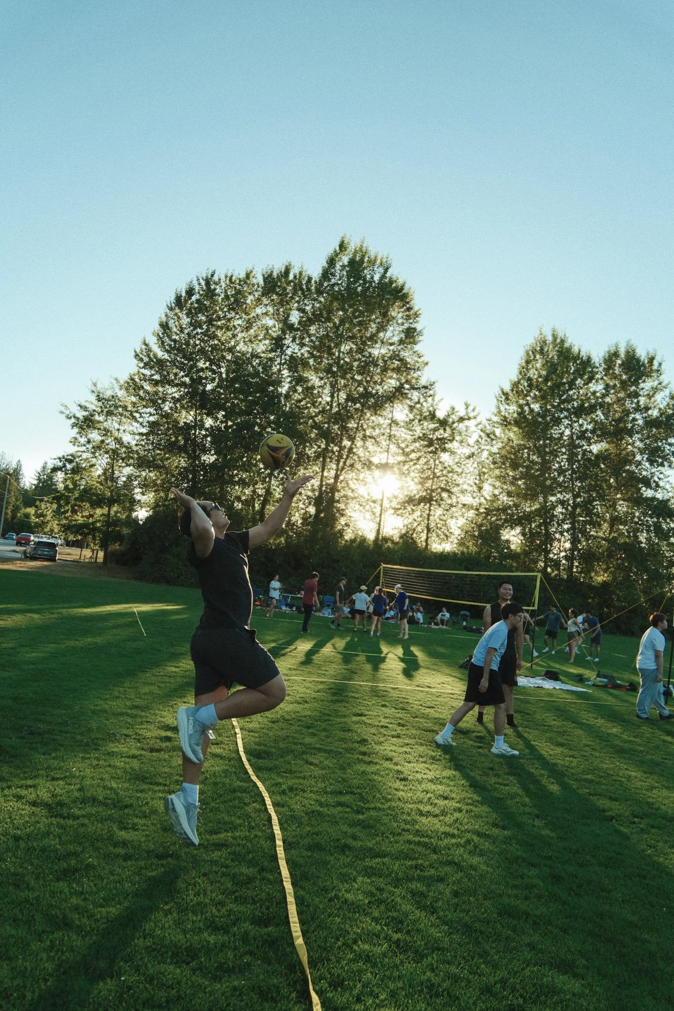 Evening at the Park