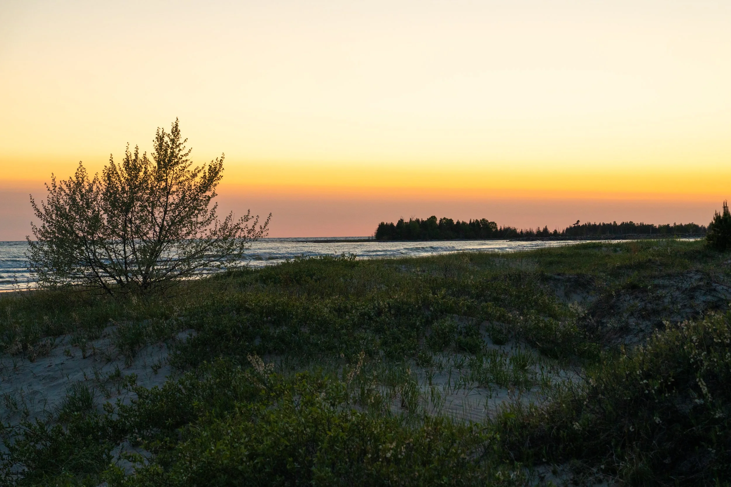 Sauble Beach Area - 2025 Web 110.jpg