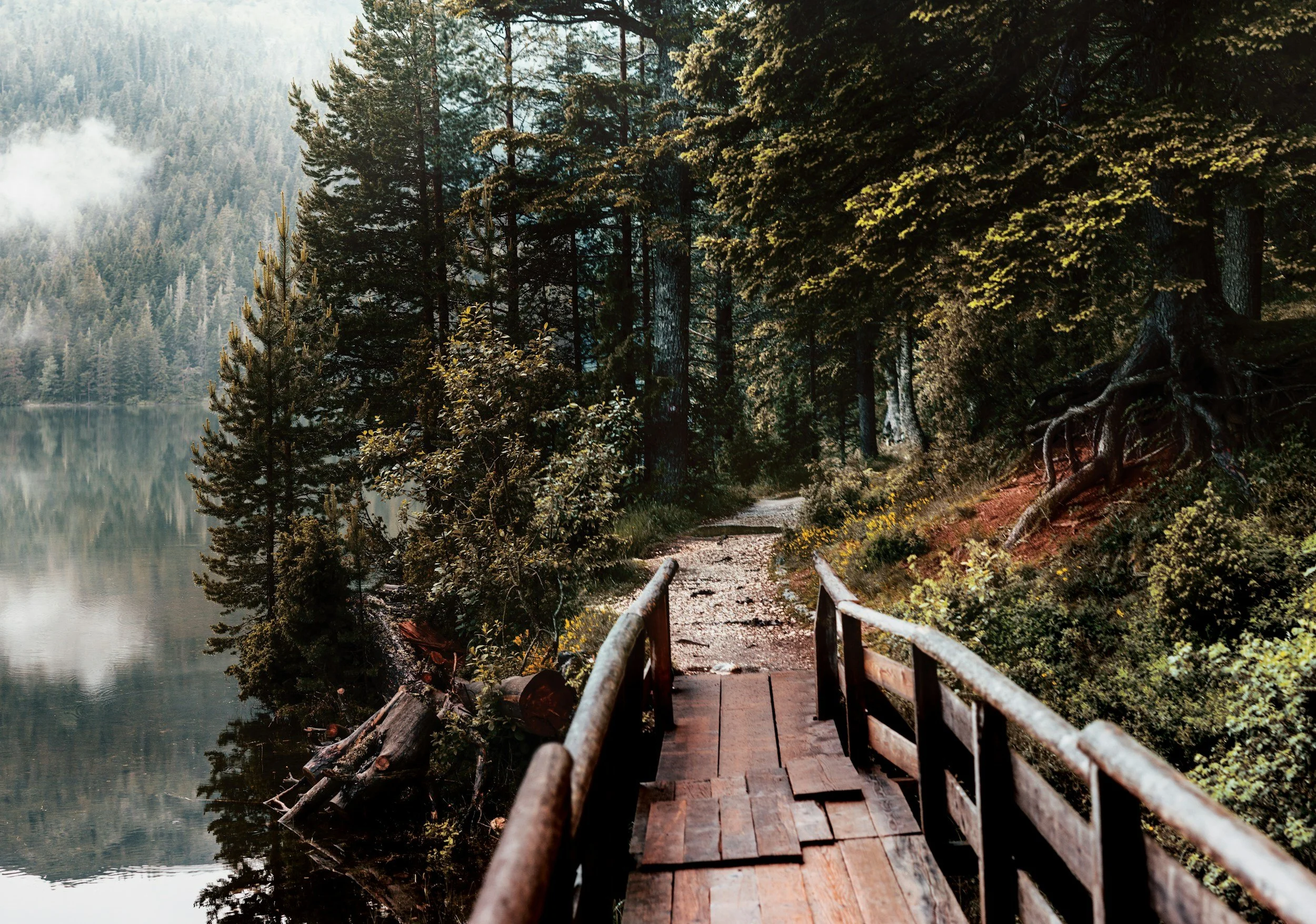 A wooden bridge over a lake leading into a forested trail surrounded by tall pine trees with a misty mountain background.