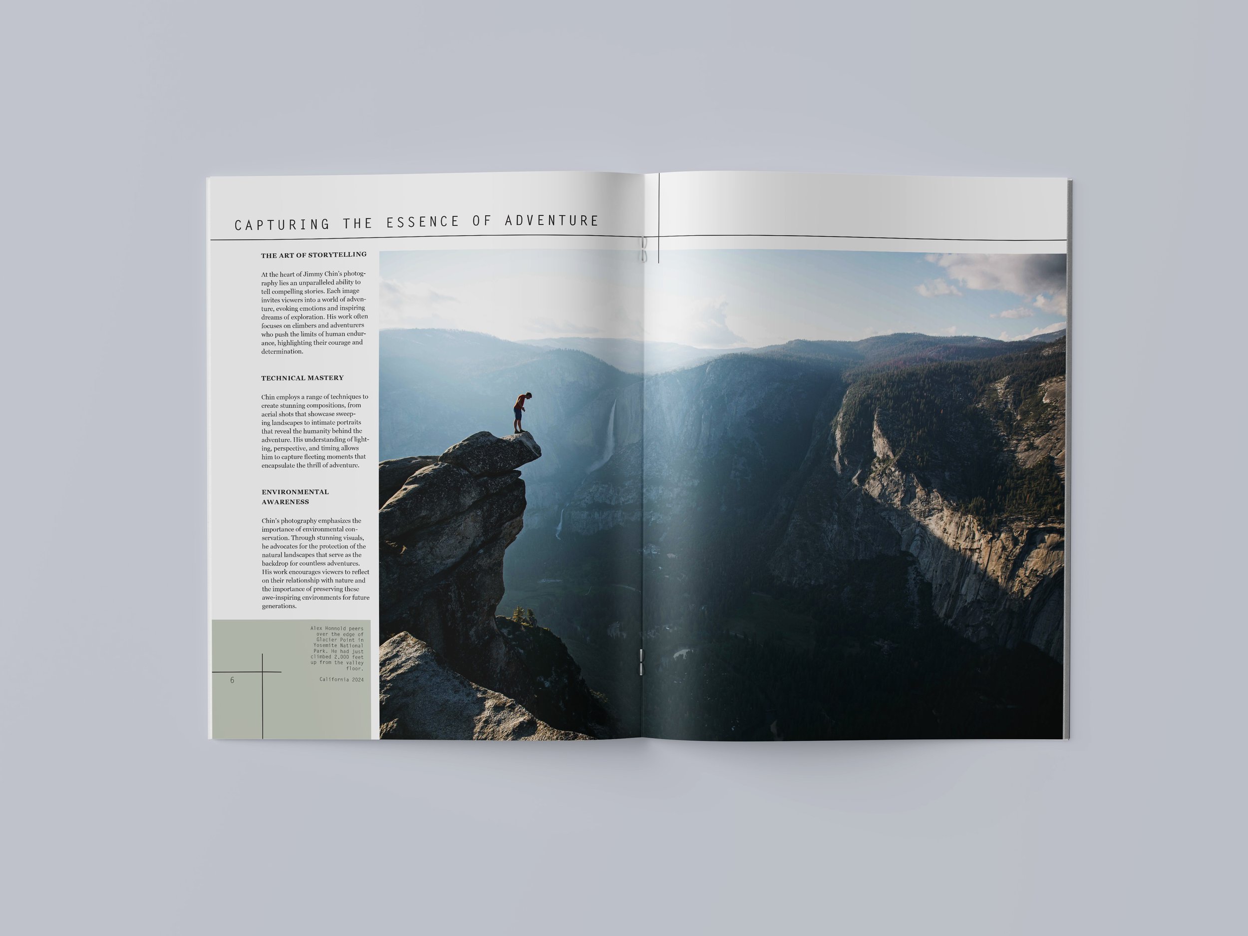 LizHogan_Brochure_Mockup4.jpg