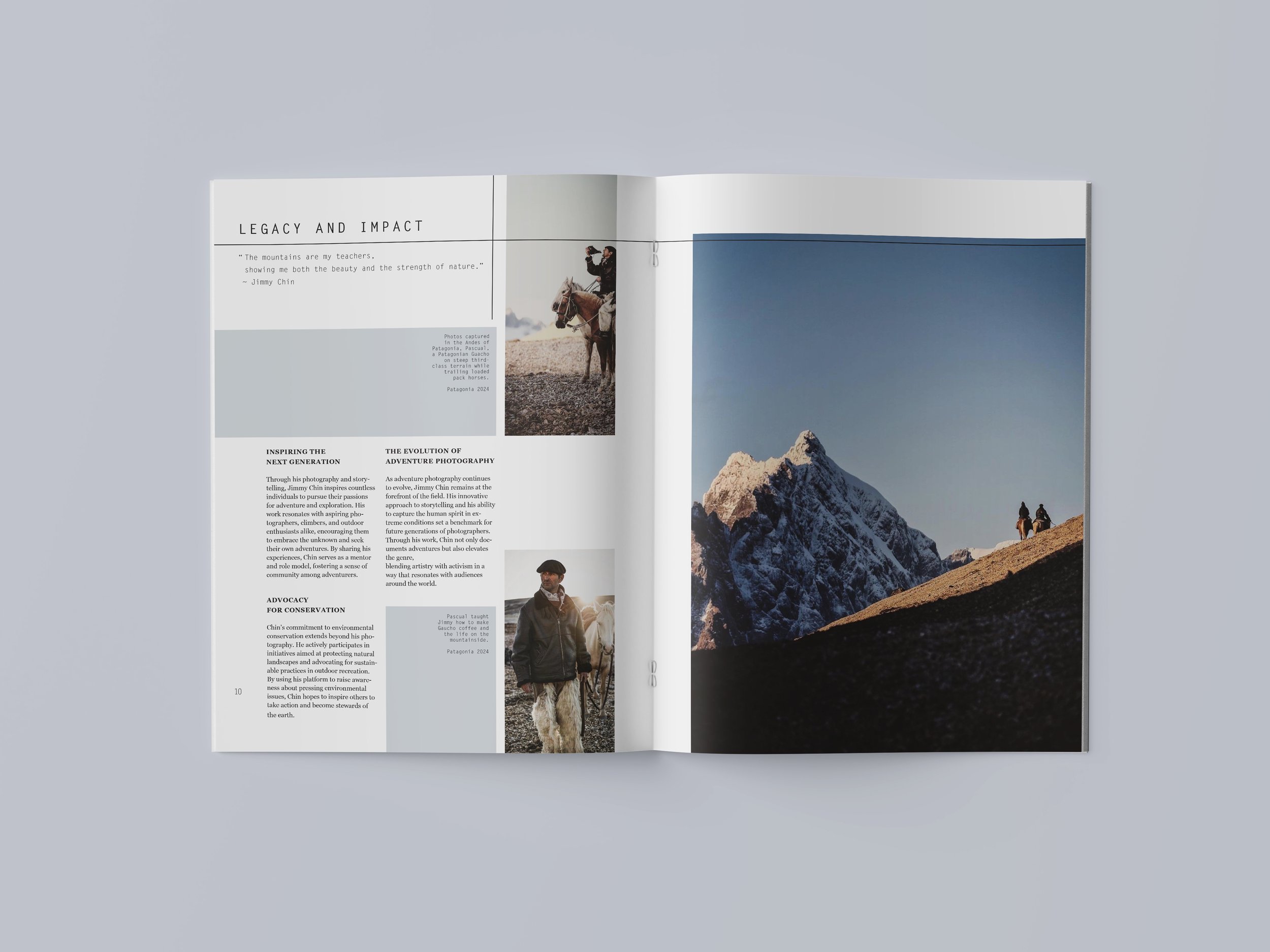 LizHogan_Brochure_Mockup6.jpg