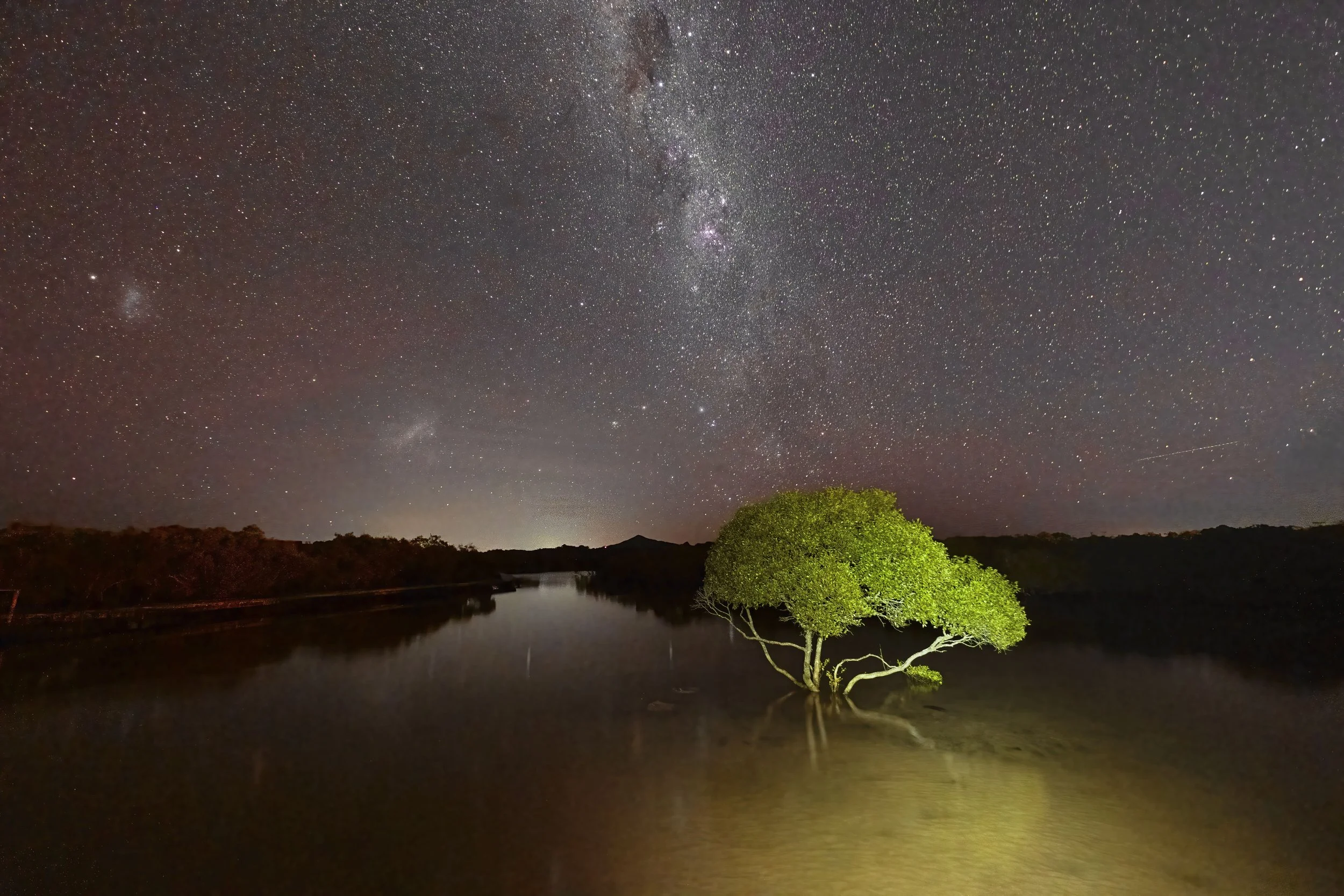 Milky Way over Mangroves.jpg