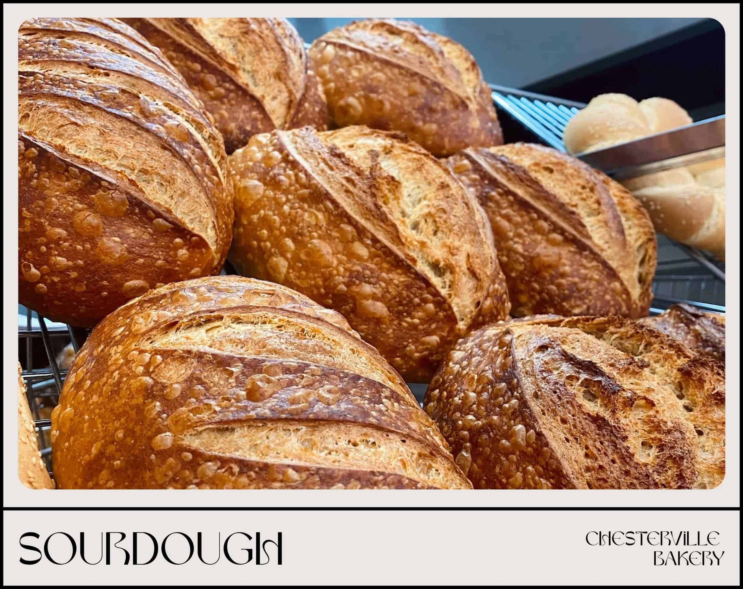 A Beginner’s Guide to Baking Sourdough