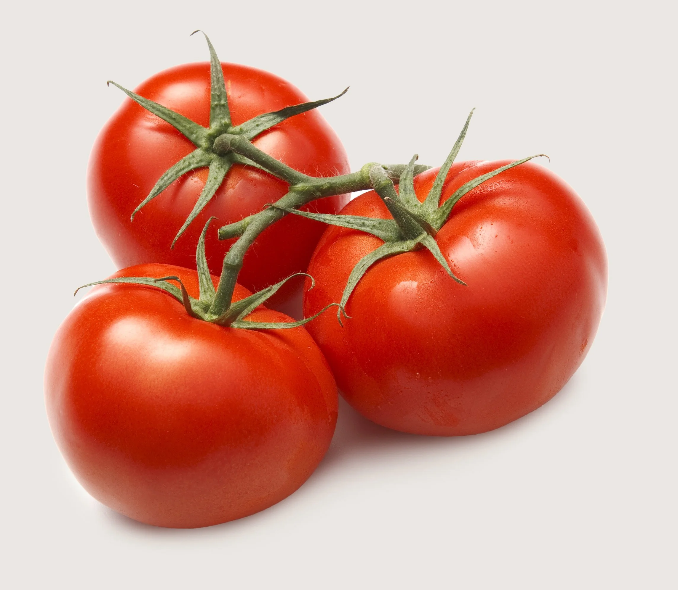 Fresh red tomatoes