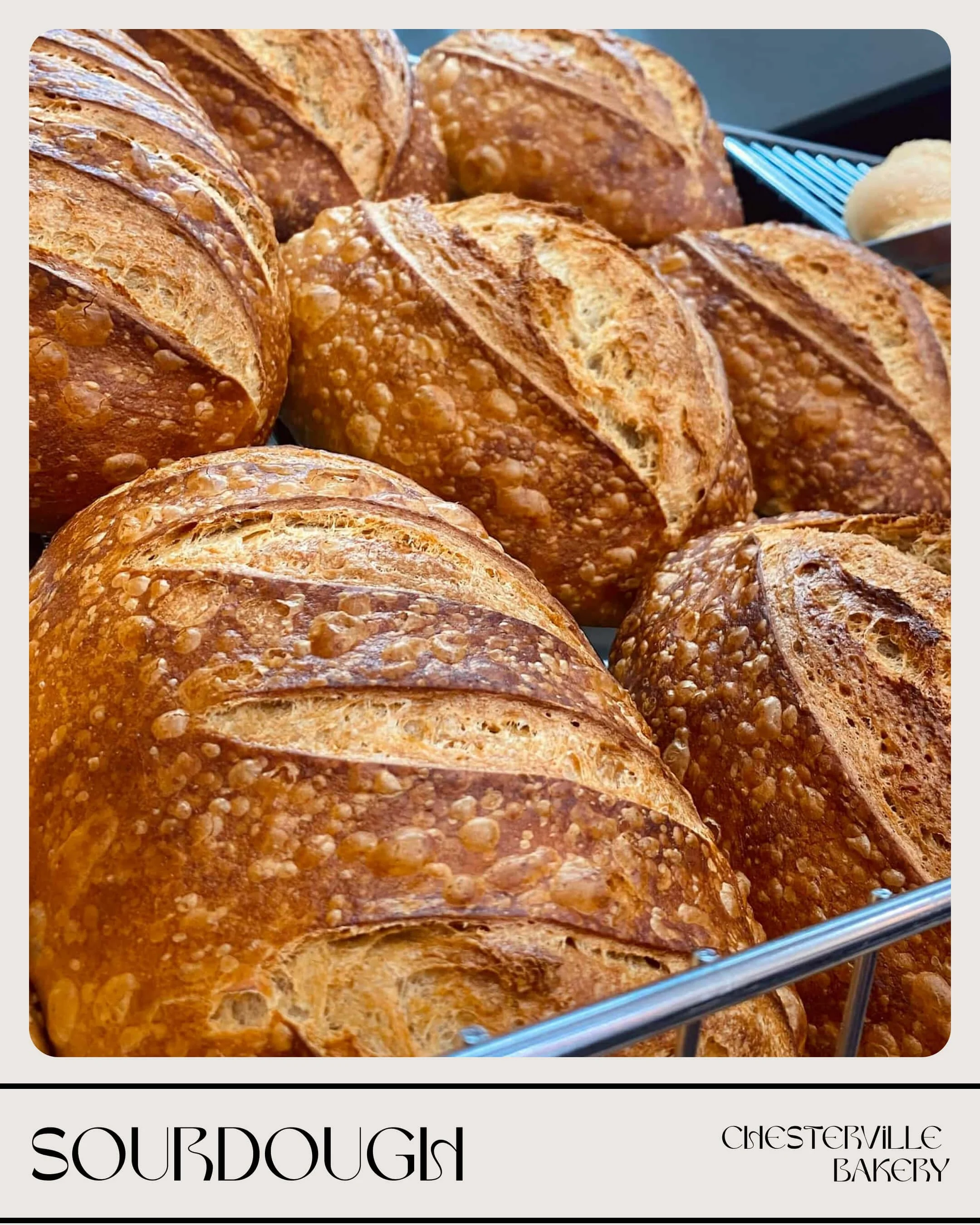 Card-sourdough.jpg