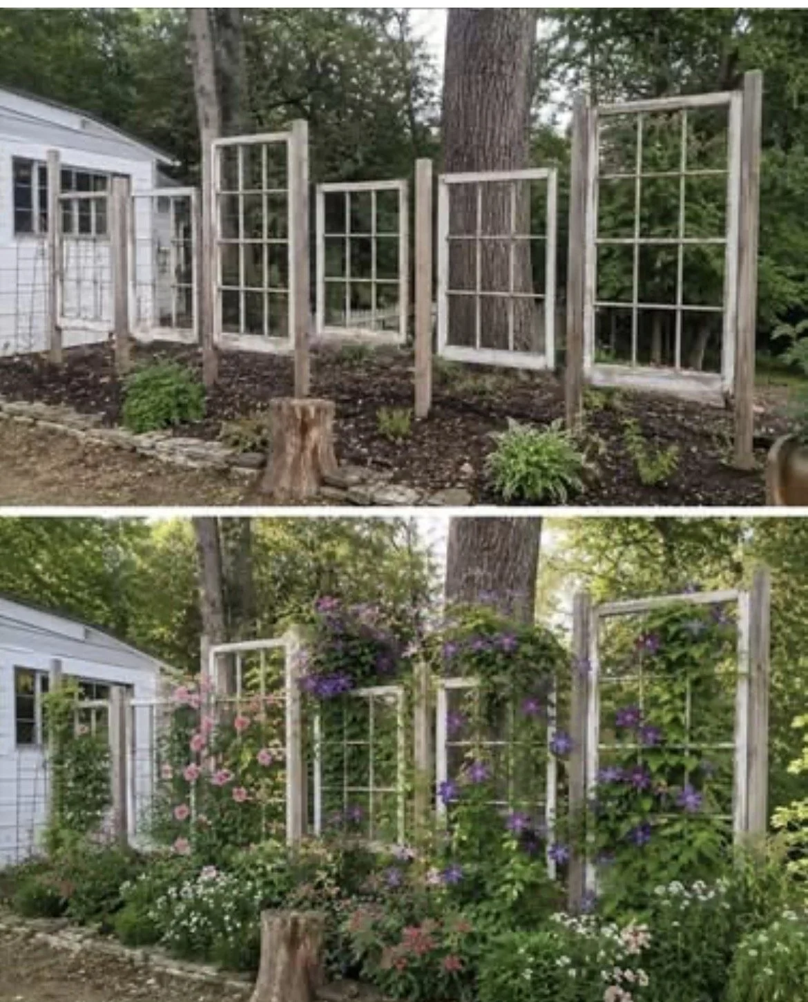 windows