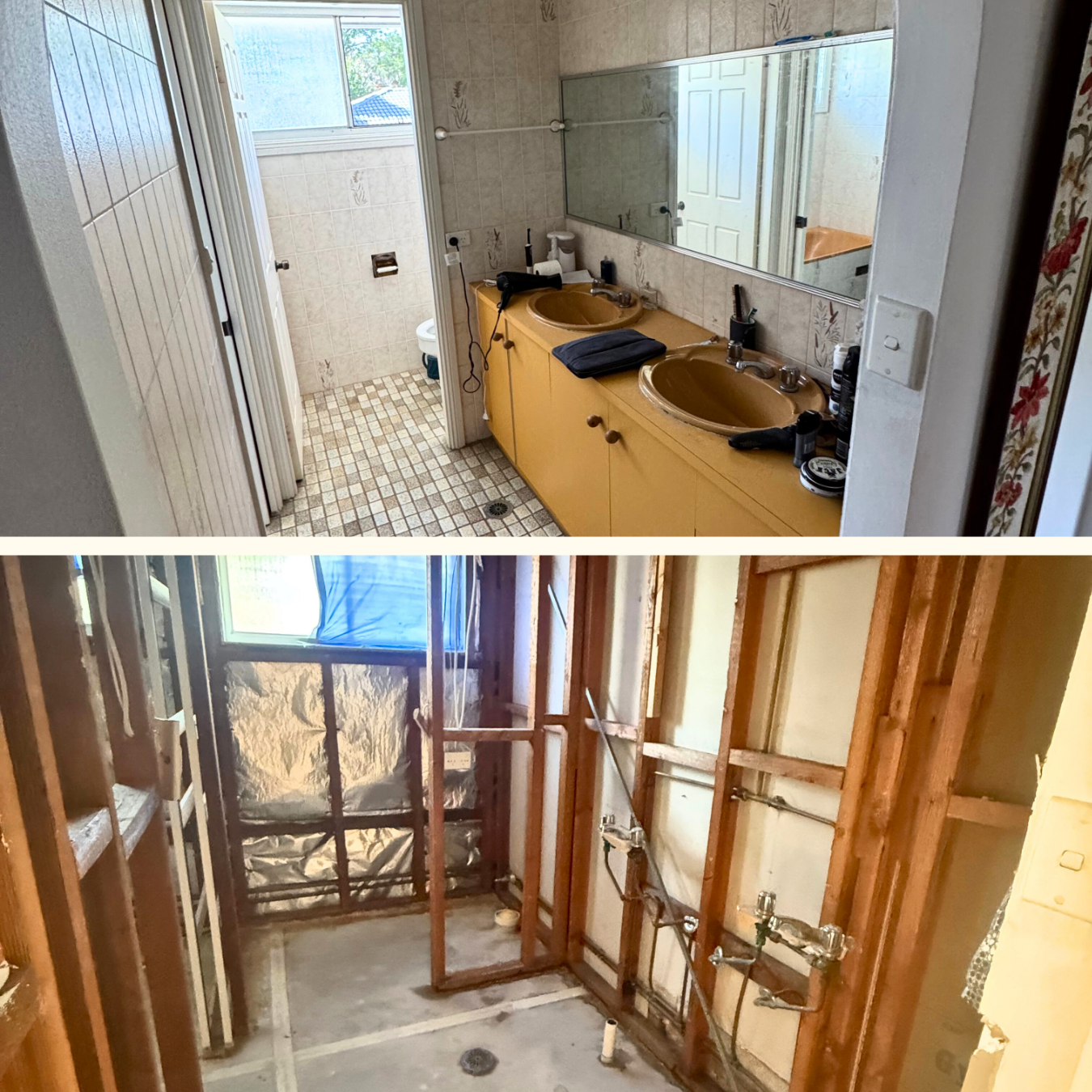 GLENHAVEN / SOFT STRIP OUT