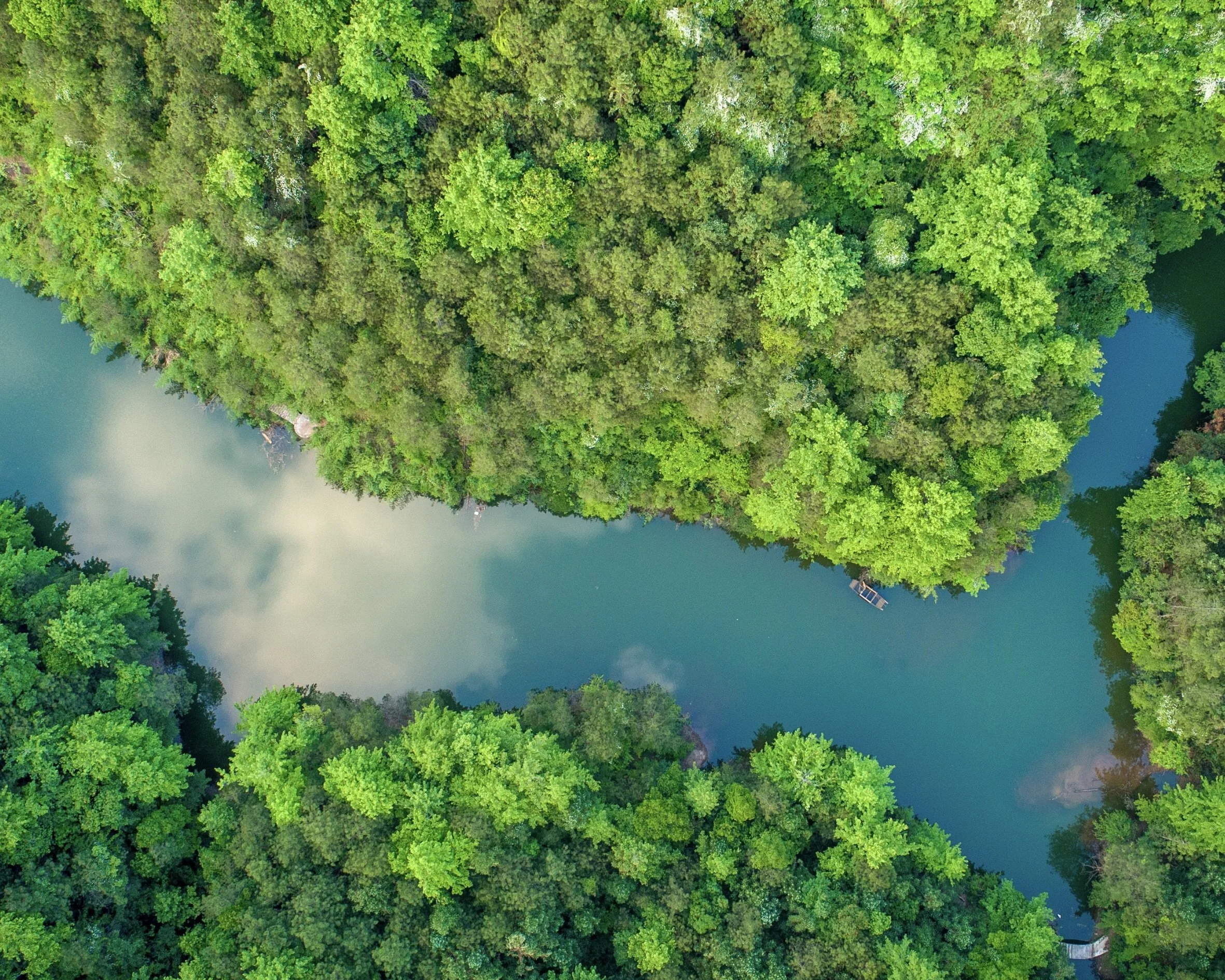 Photography Marketing Automation