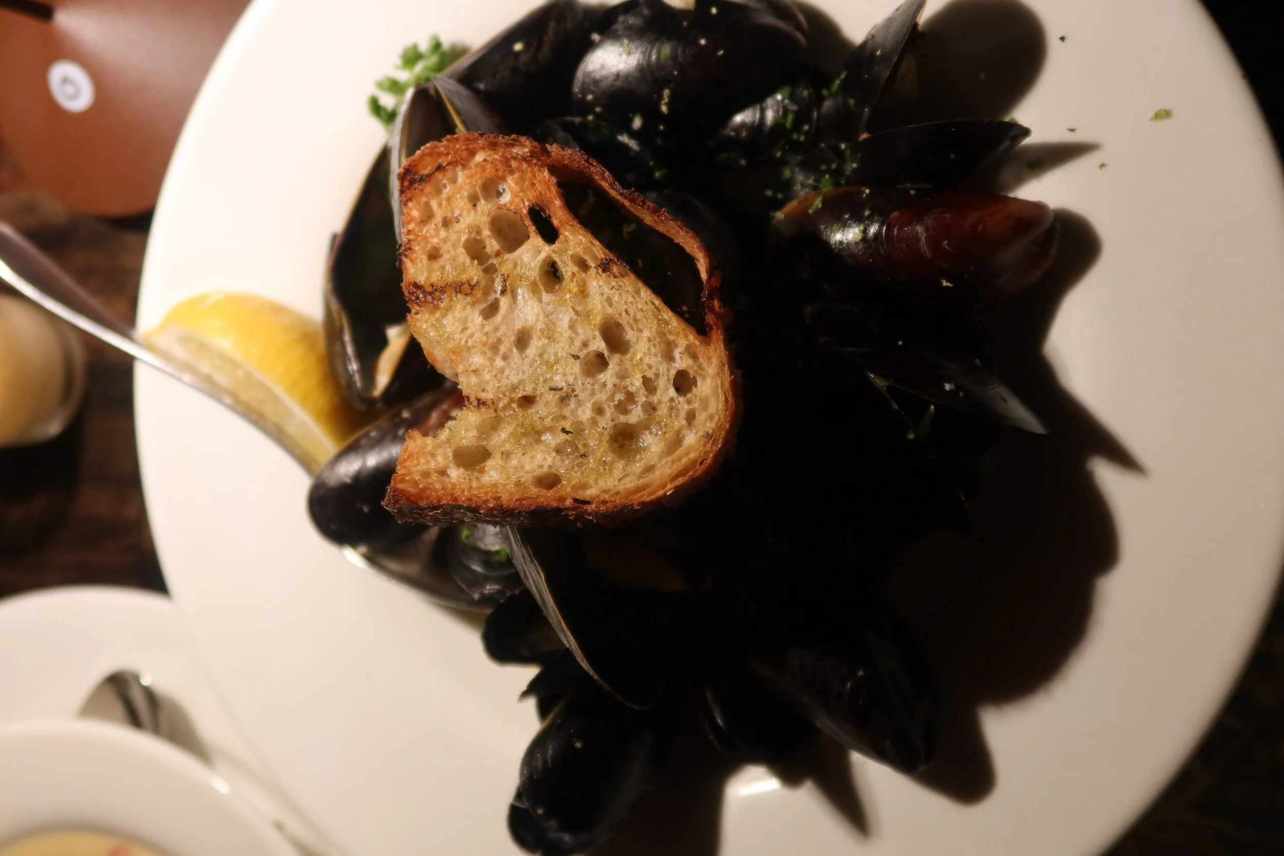 Copy of IMG_4553.JPG