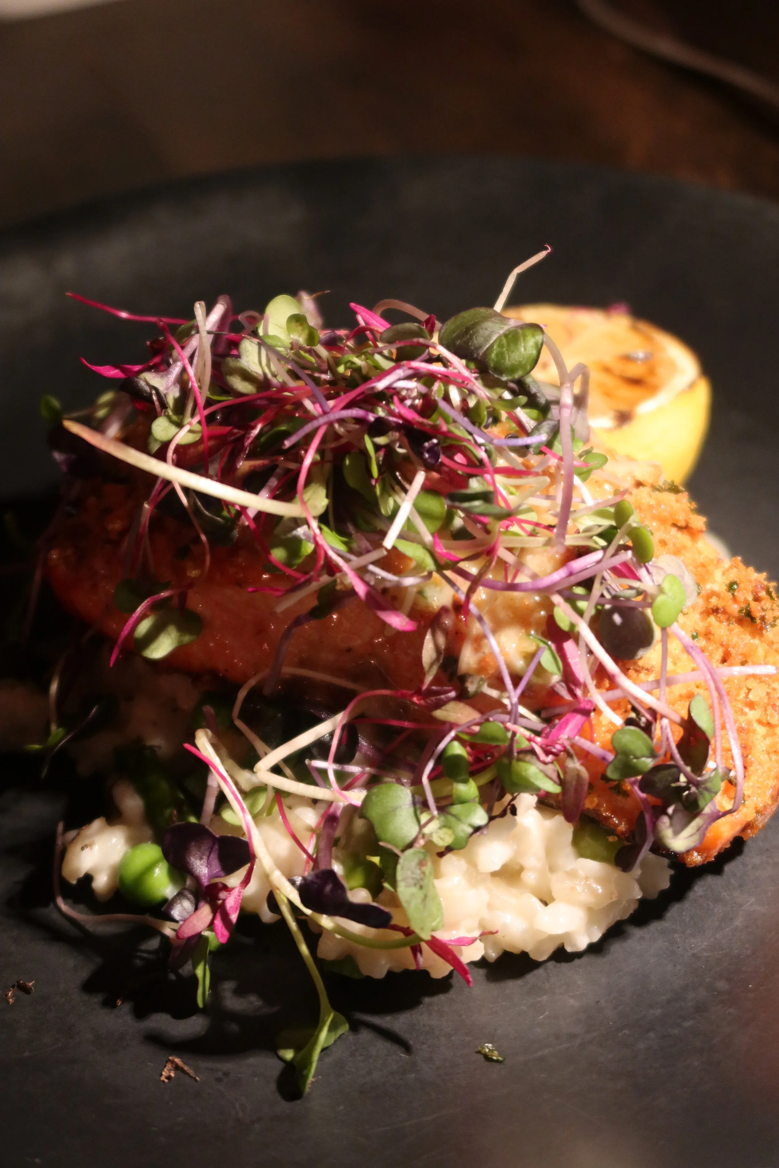 Salt Seafood & Oyster Bar