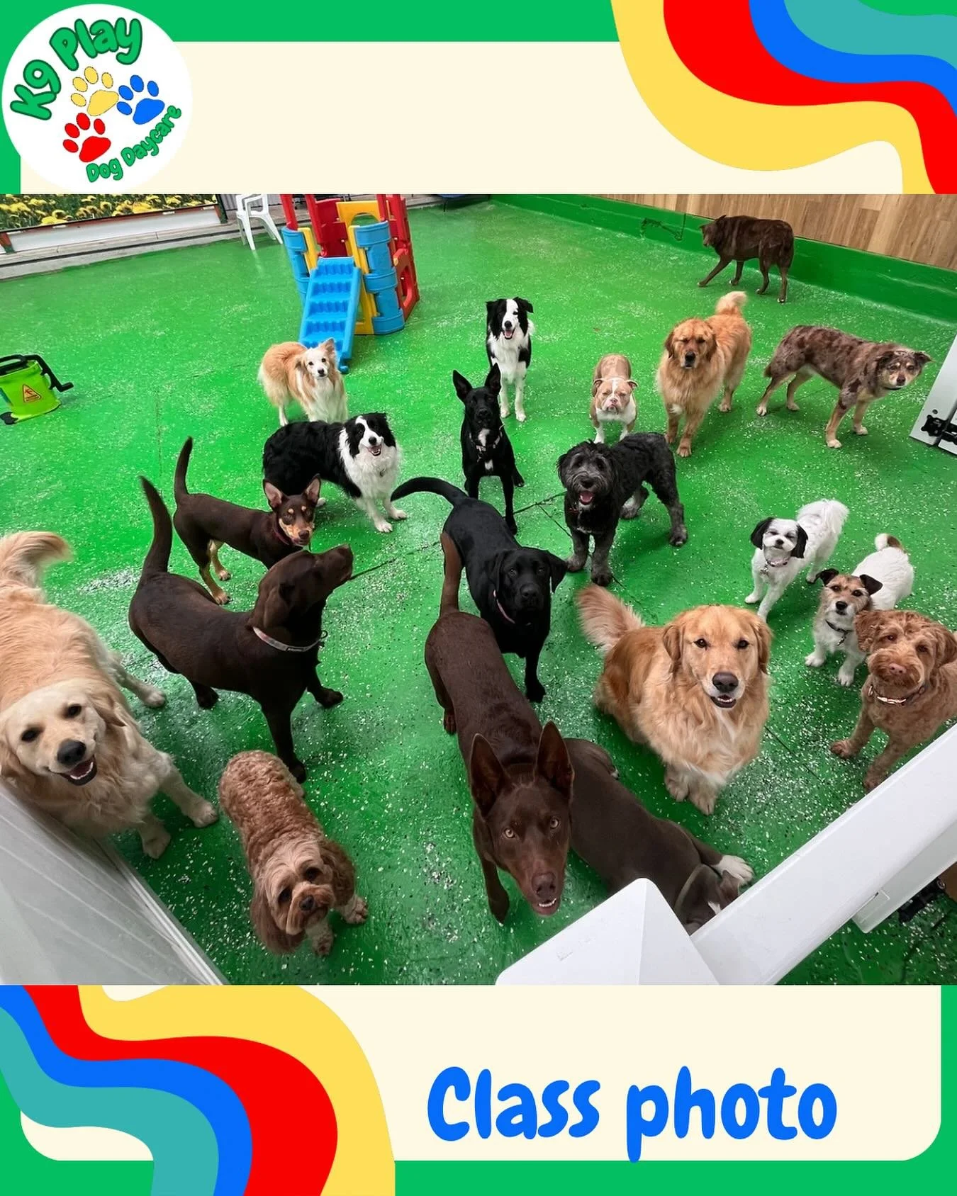 Wednesdays class photo!