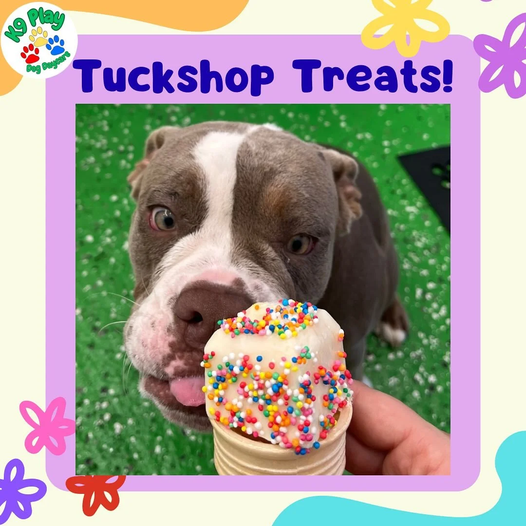 Zoe loved her icecream!
