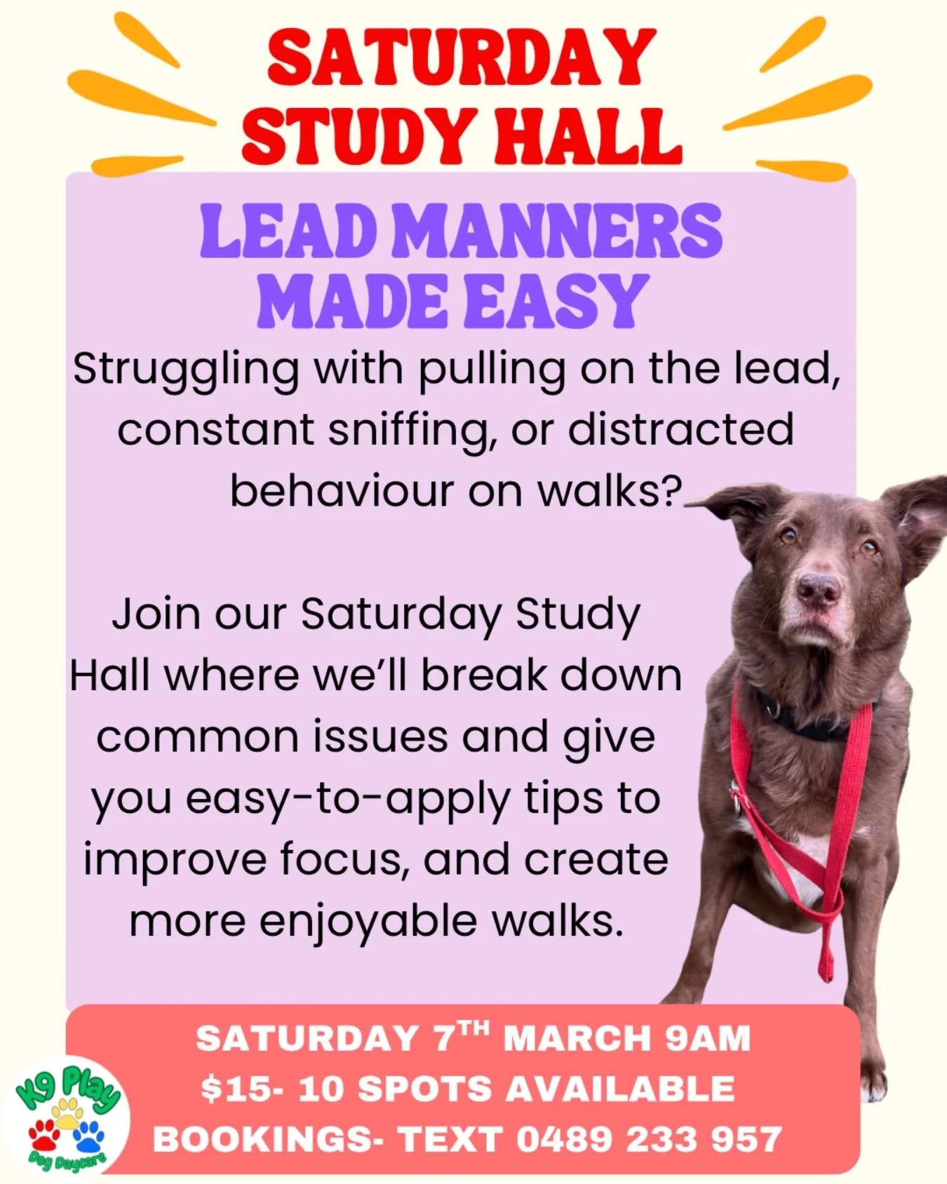 We have limited spots left for this Saturdays study hall! Message now to book your spot! 0489 233 957

Classes are capped at 10 dogs to ensure the best group training experience.
⏱ 45-minute session
💲 $15 per dog