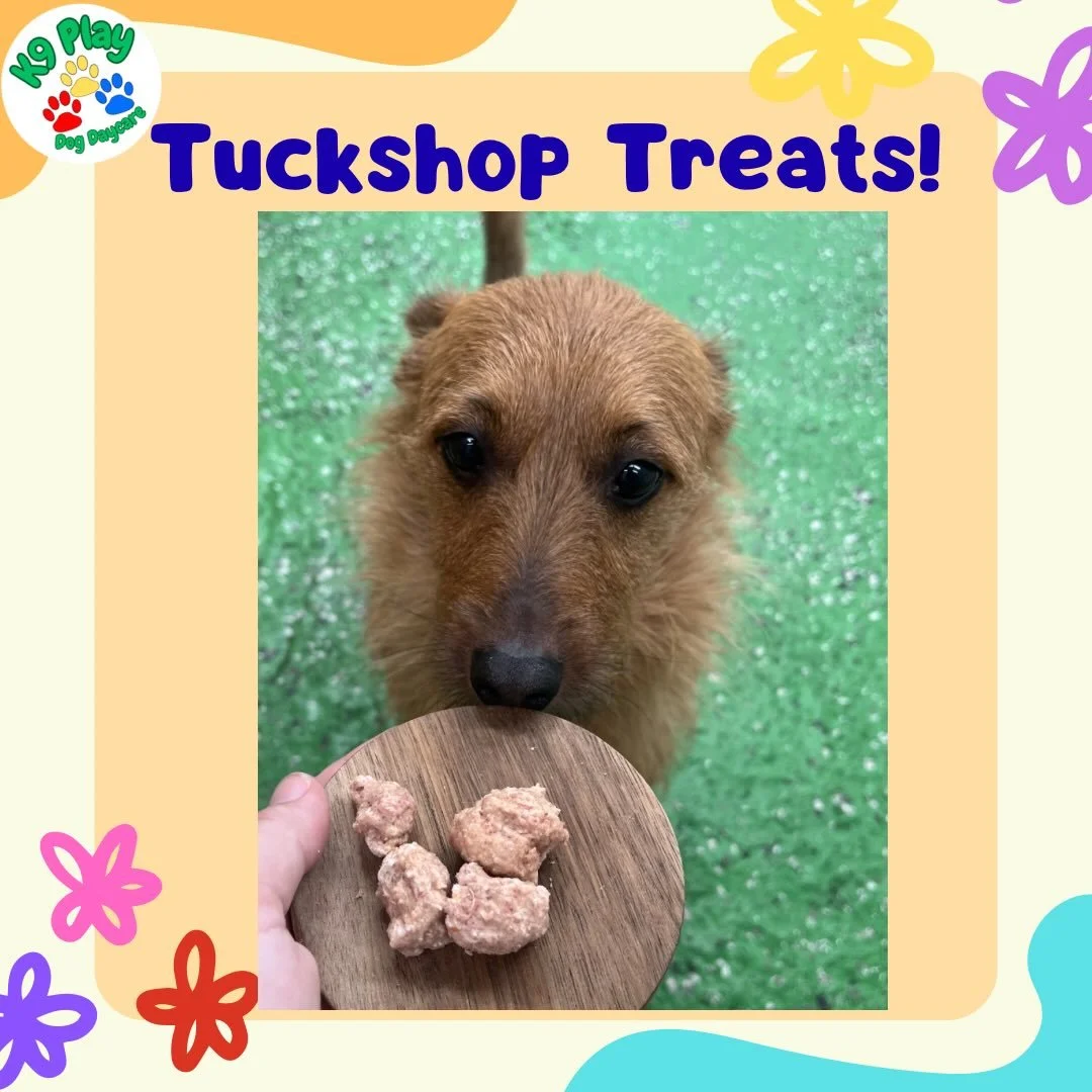 Sandy and Miley loved their meatballs!