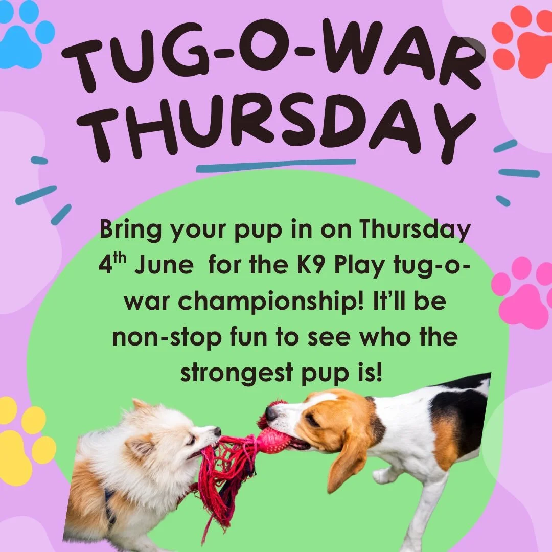 Who&rsquo;s the strongest pup in the pack? 💪🐶 Bring your furry champion in this Thursday 4th June for our K9 Play Tug-o-War Championship &mdash; it&rsquo;s going to be non-stop fun! May the best pup win! 🏆 
https://pawpartner.com/pz/email/p=226202