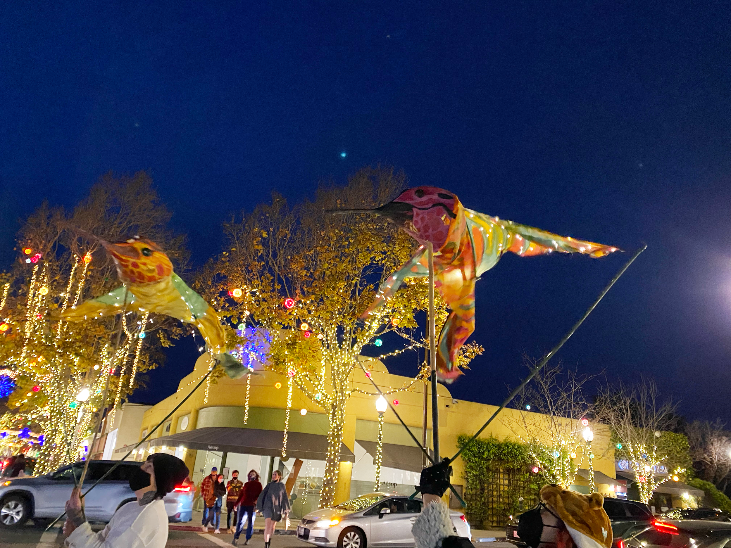 Glowing Hummingbirds.png