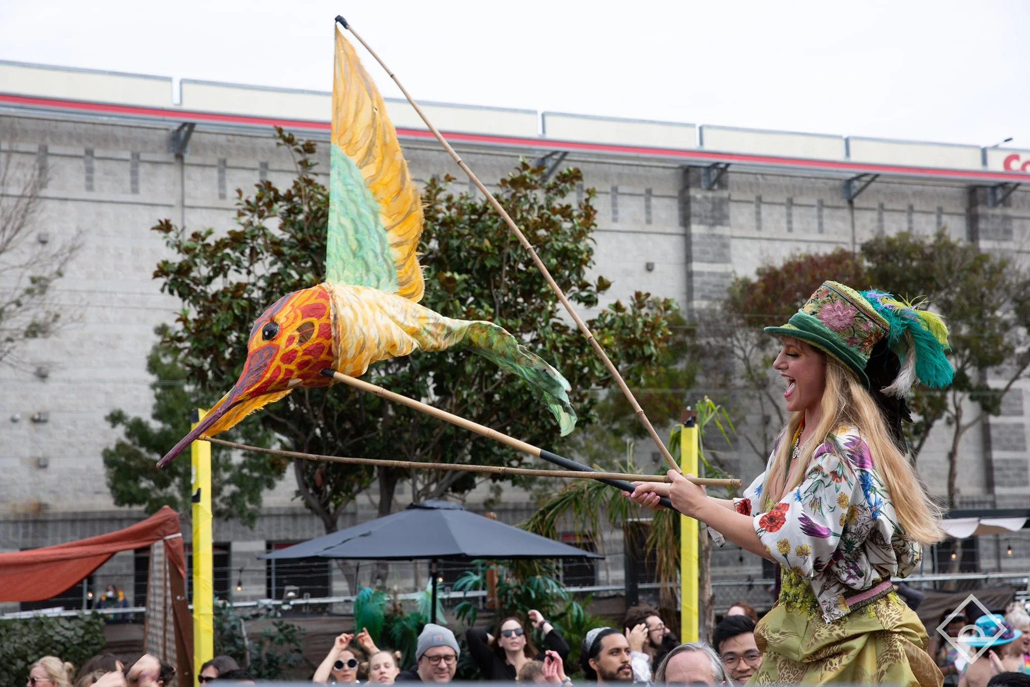 Rufous Hummingbird Toni Mikulka Chang 1.jpg