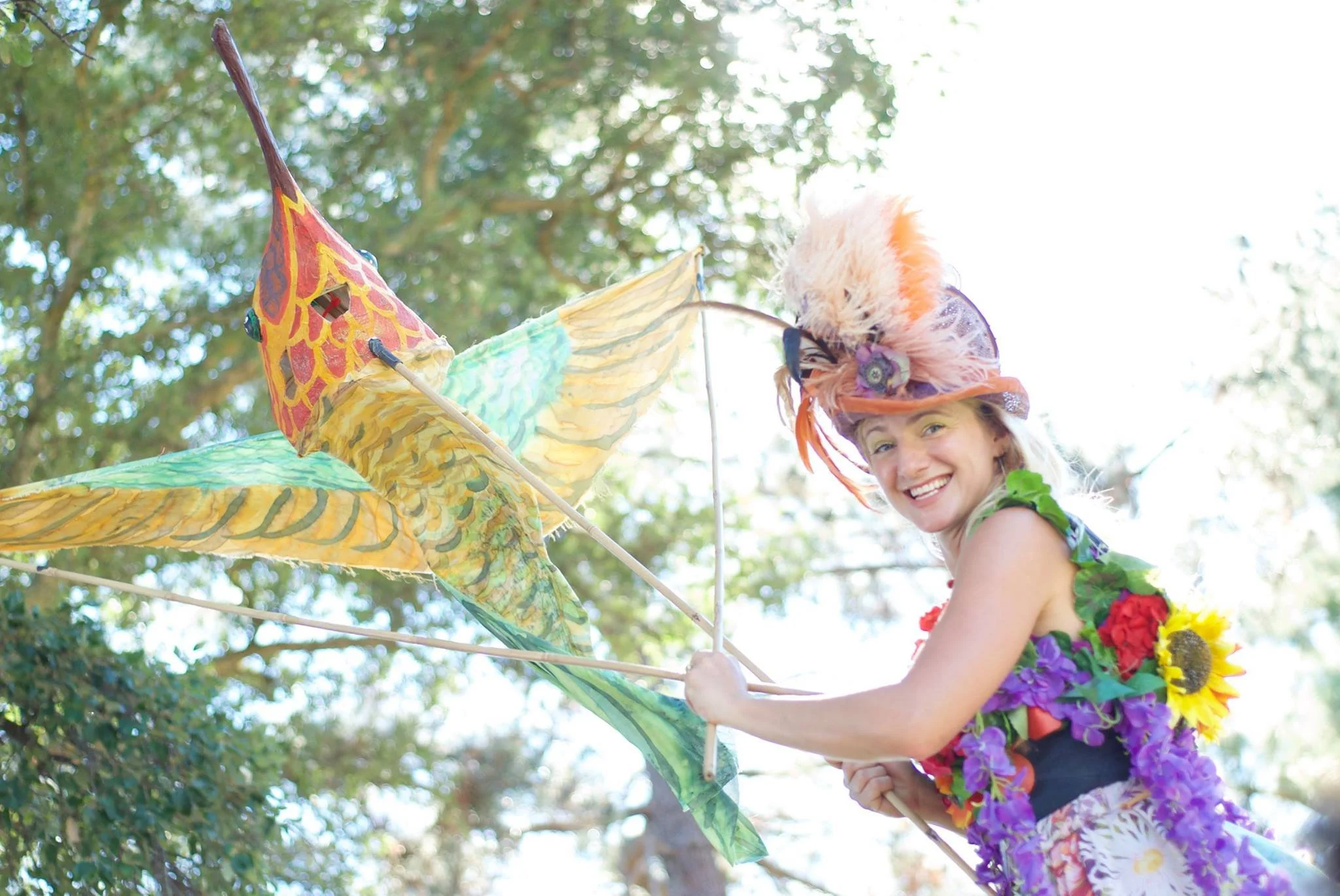 Rufous Hummingbird Toni Mikulka Chang 3.jpg