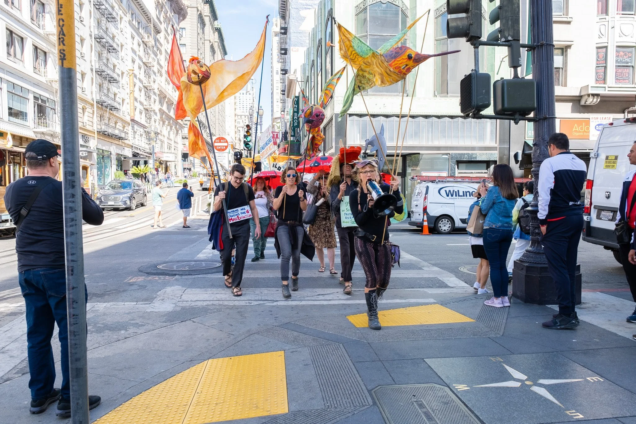 Rufous Hummingbird Toni Mikulka Chang 2.jpg