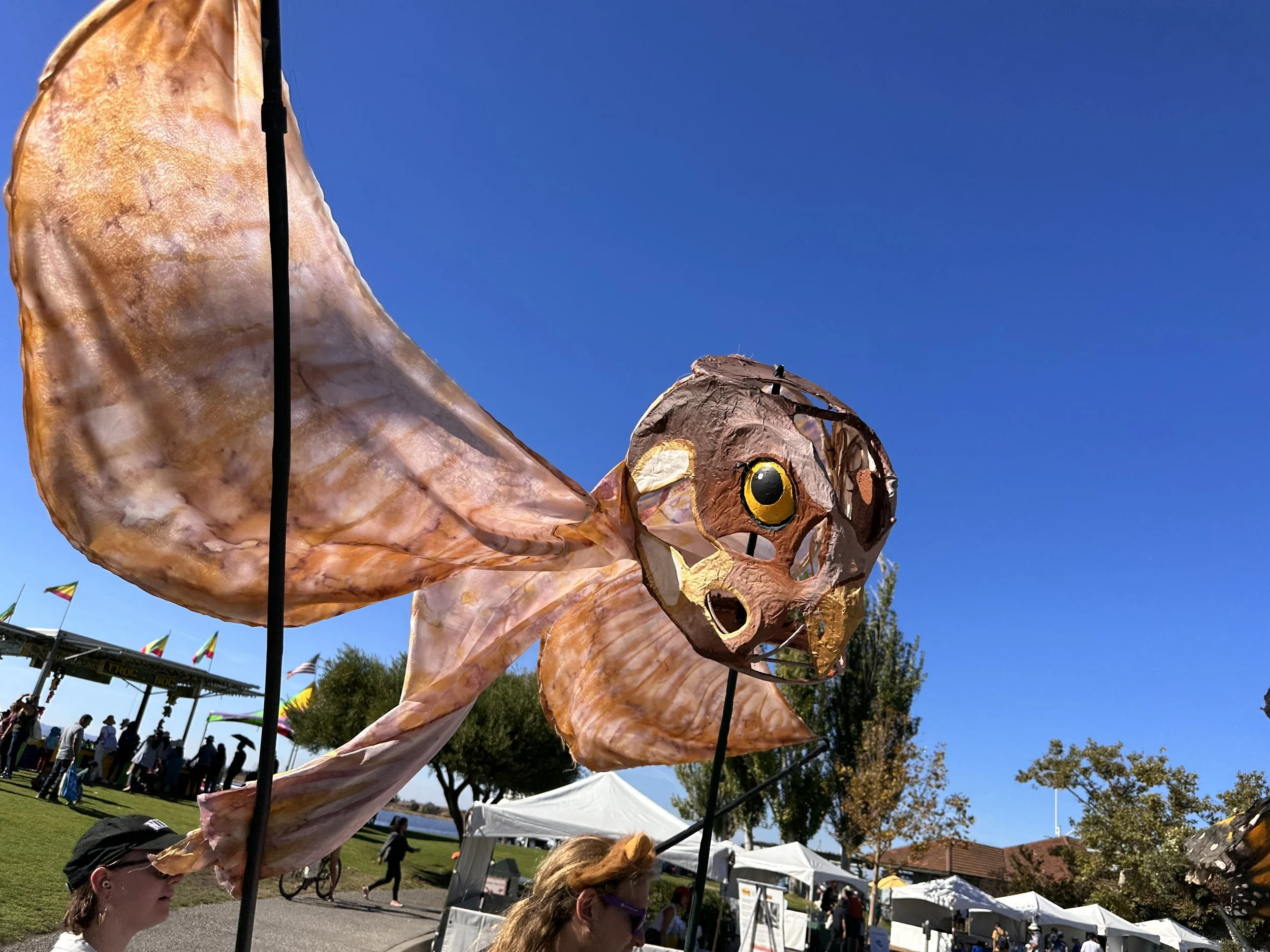 Burrowing Owl Puppet