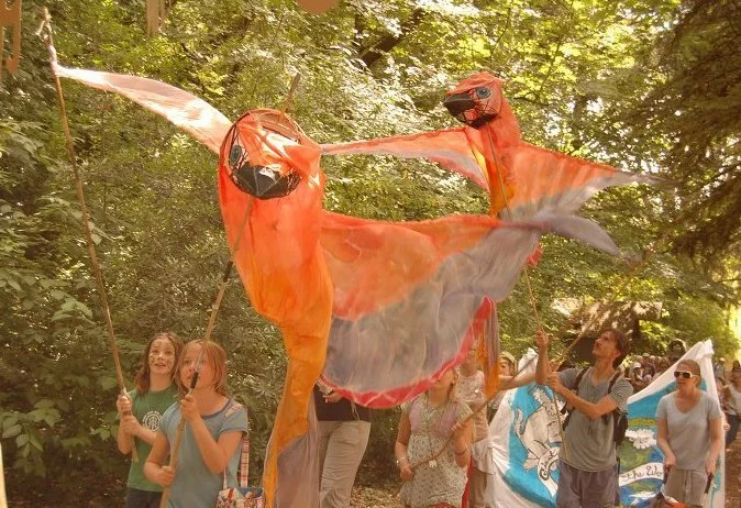 bird at nature fest 2.jpeg