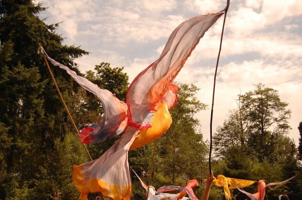 bird at nature fest.jpeg