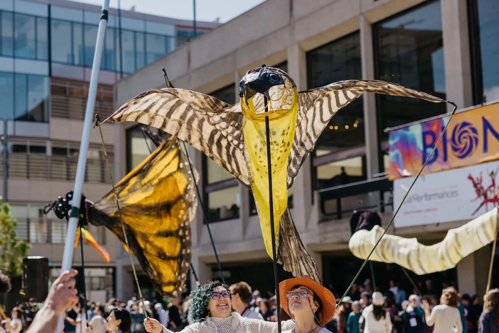Kirtland’s Warbler Puppet