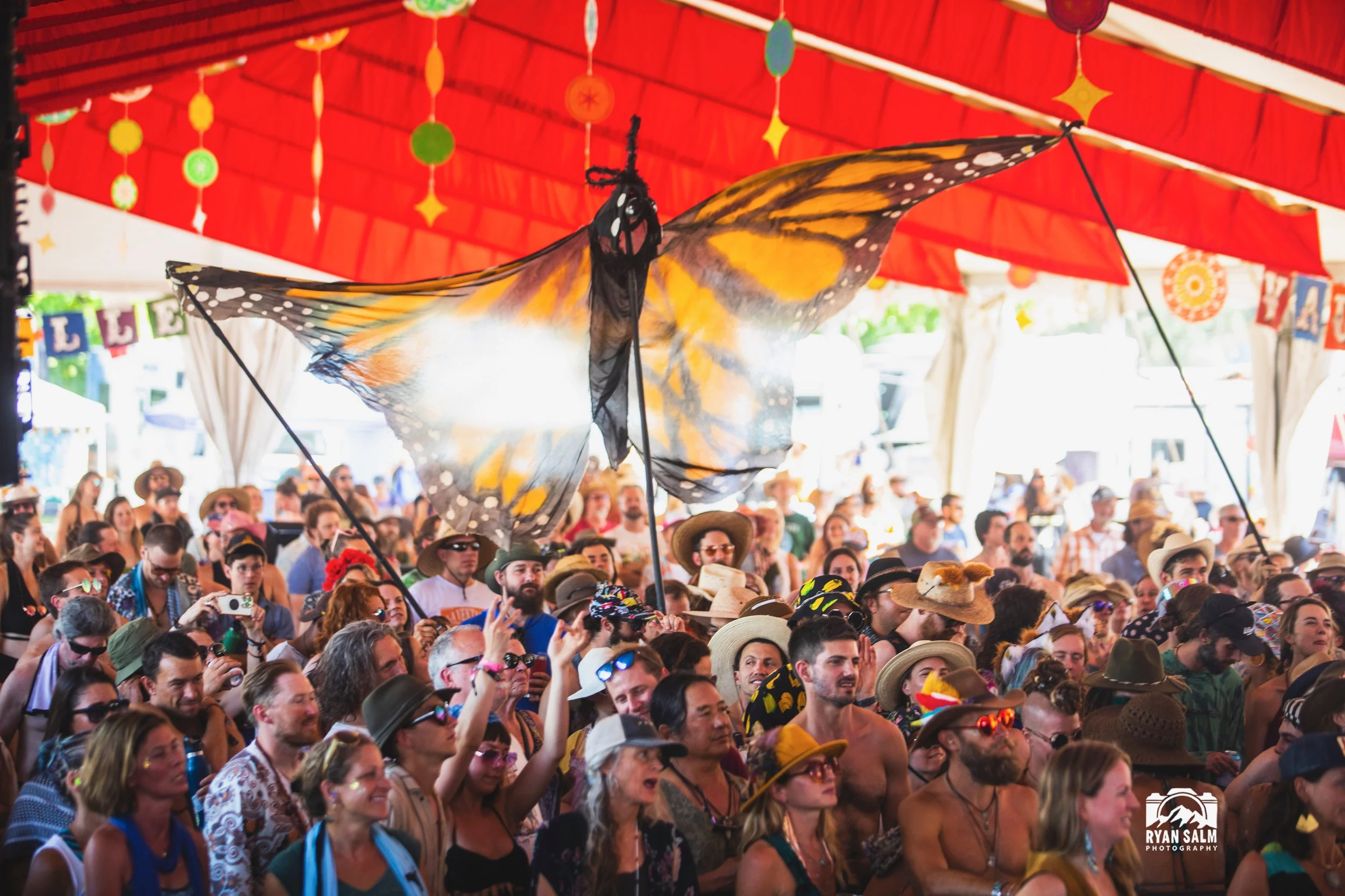 HSMF_Crowd Butterfly_photo by Ryan Salm.jpeg