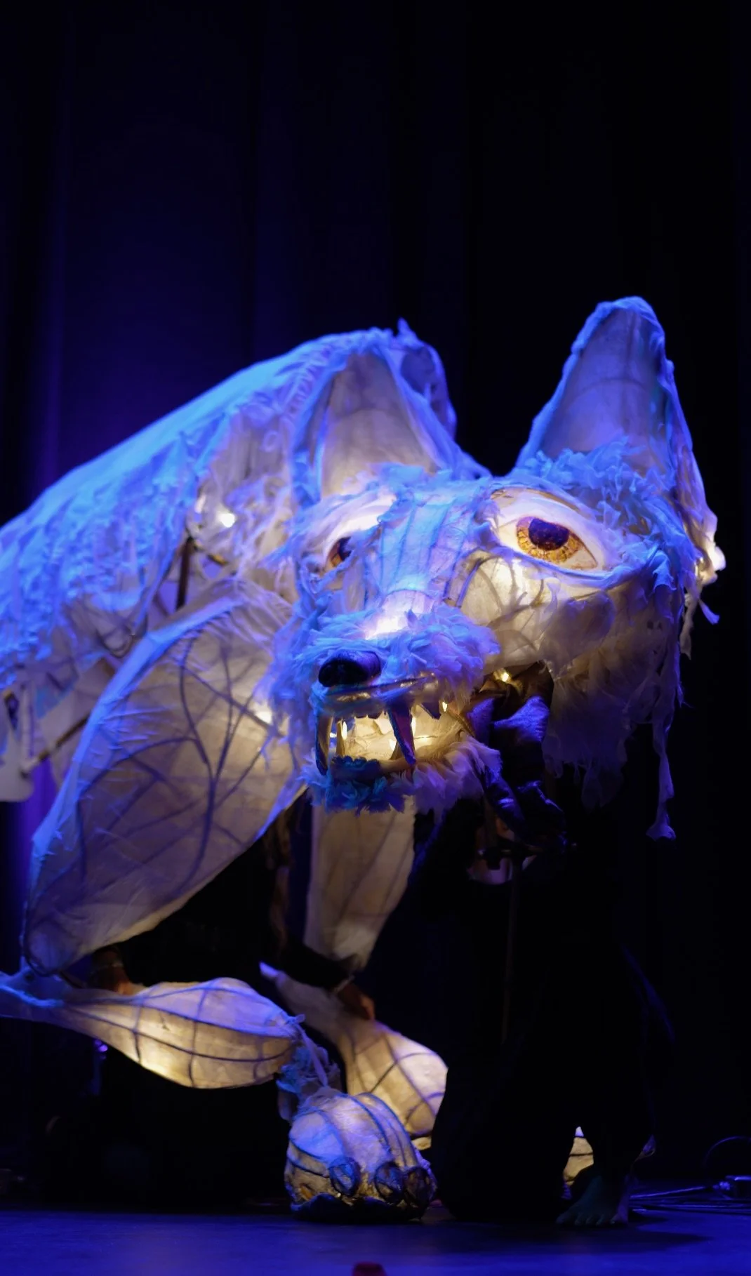 Large puppet of a wolf, illuminated with blue and purple lights, in a dark stage setting.