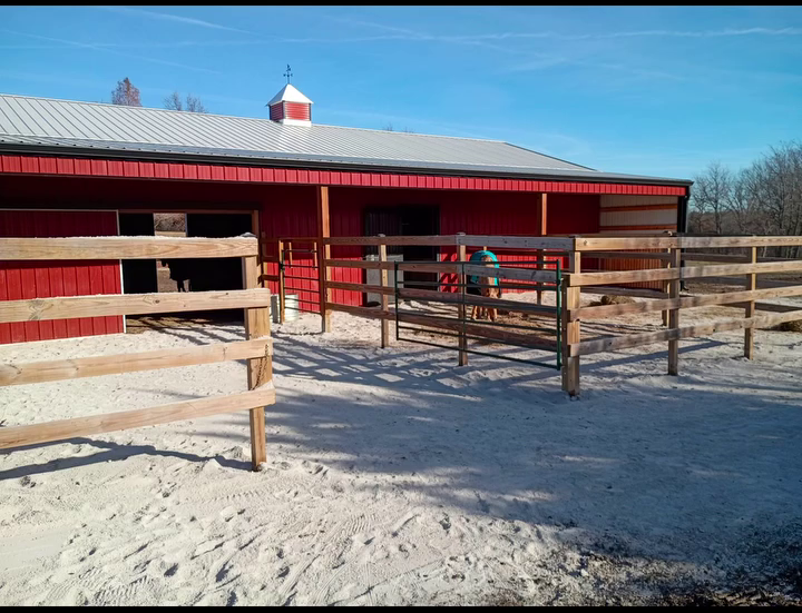 Horse Dry Lot Construction — No More Mud