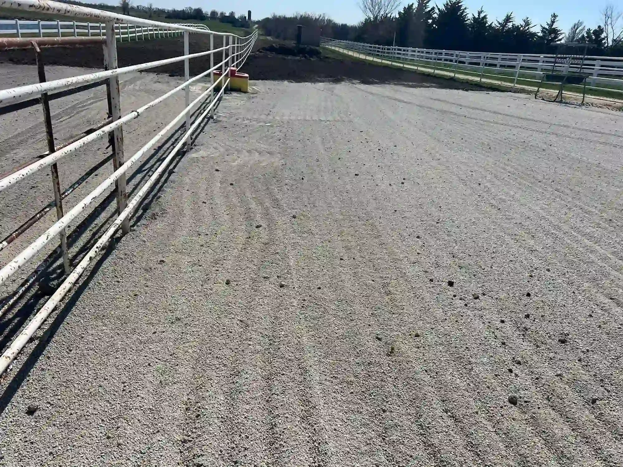 horse paddock dry lot
