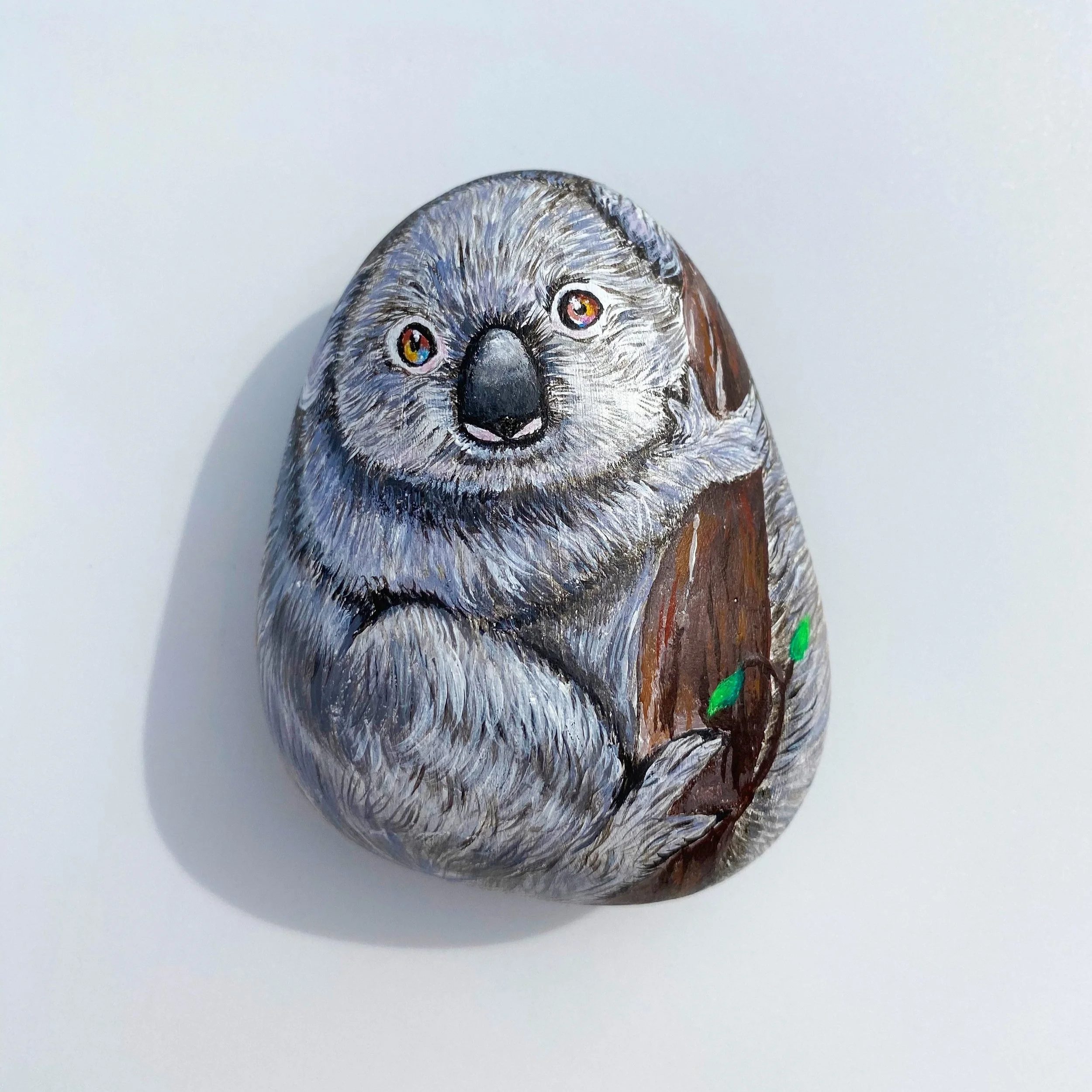 d10-2.jpg