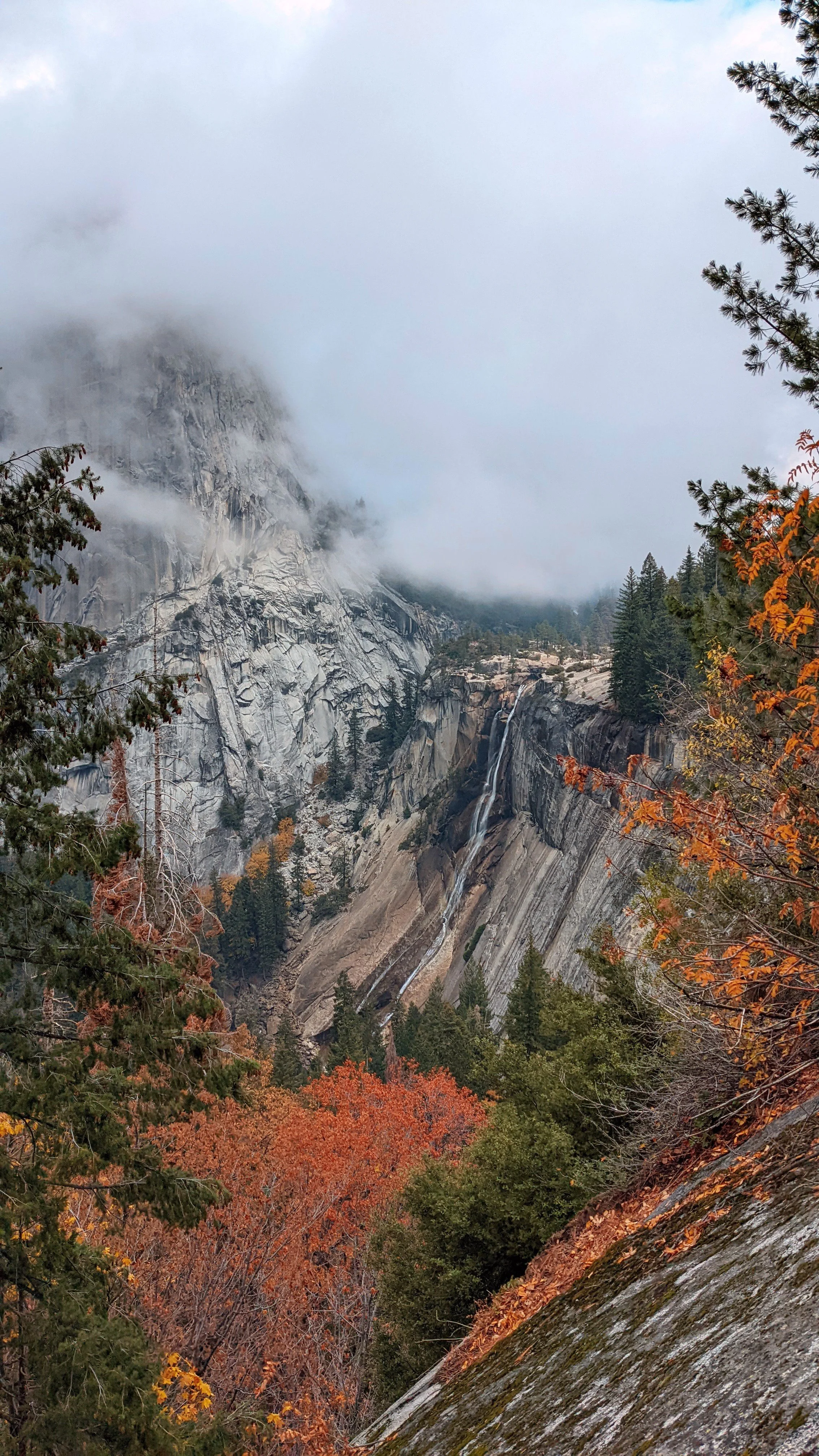 A misty mountain landscape with trees, a waterfall, and a rocky cliff in the background.