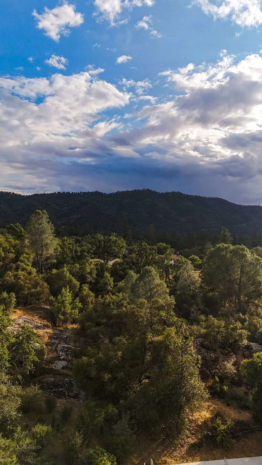 Scenic view of green trees on a hillside with a mountain range in the background and a partly cloudy sky overhead.