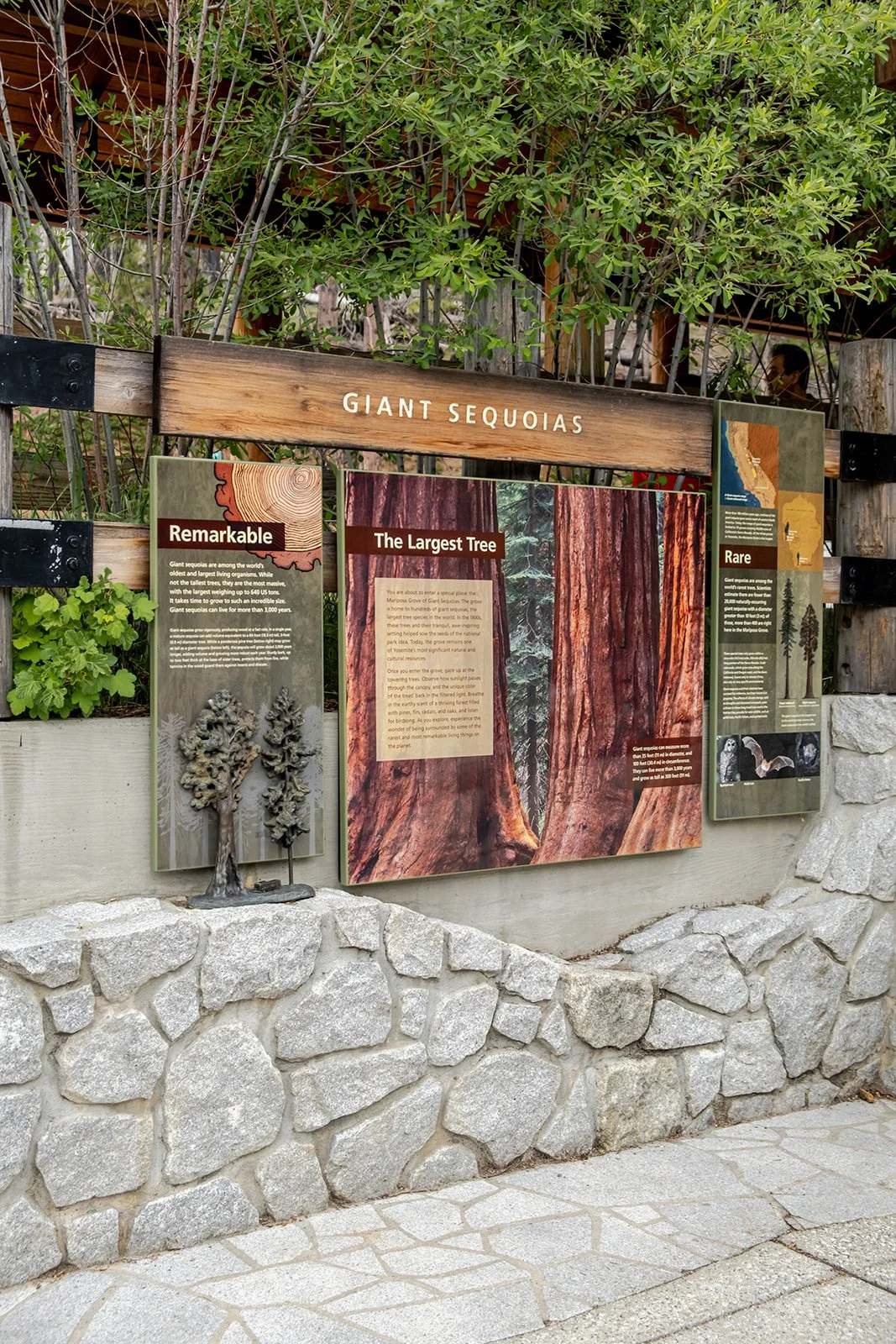 Informational display about giant sequoias, featuring titles like "Remarkable," "The Largest Tree," and "Rare," with images and text about the giant sequoias' size, age, and conservation.