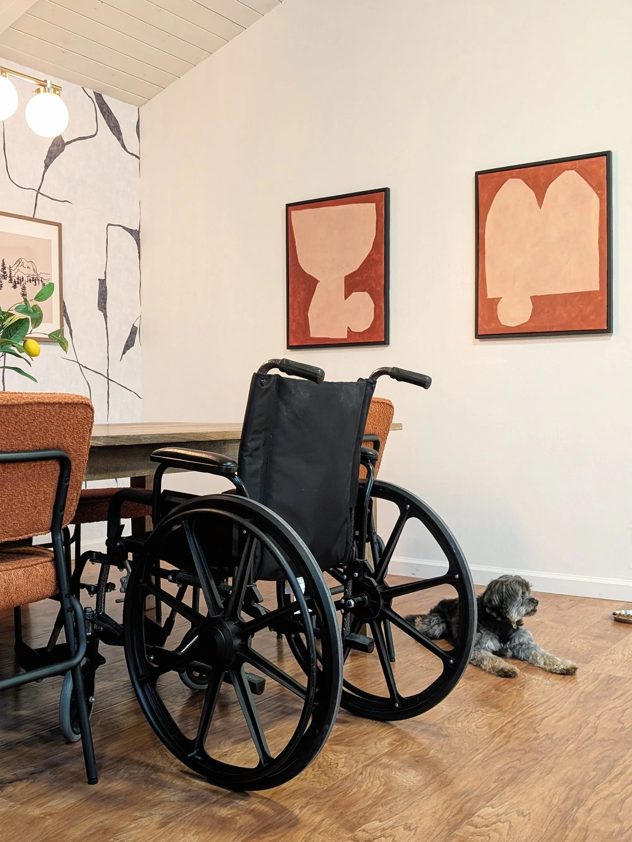A wheelchair is placed in a room with light-colored walls and wooden flooring, alongside orange chairs, a potted plant, and framed artwork. A small dog is lying on the floor near the wheelchair.