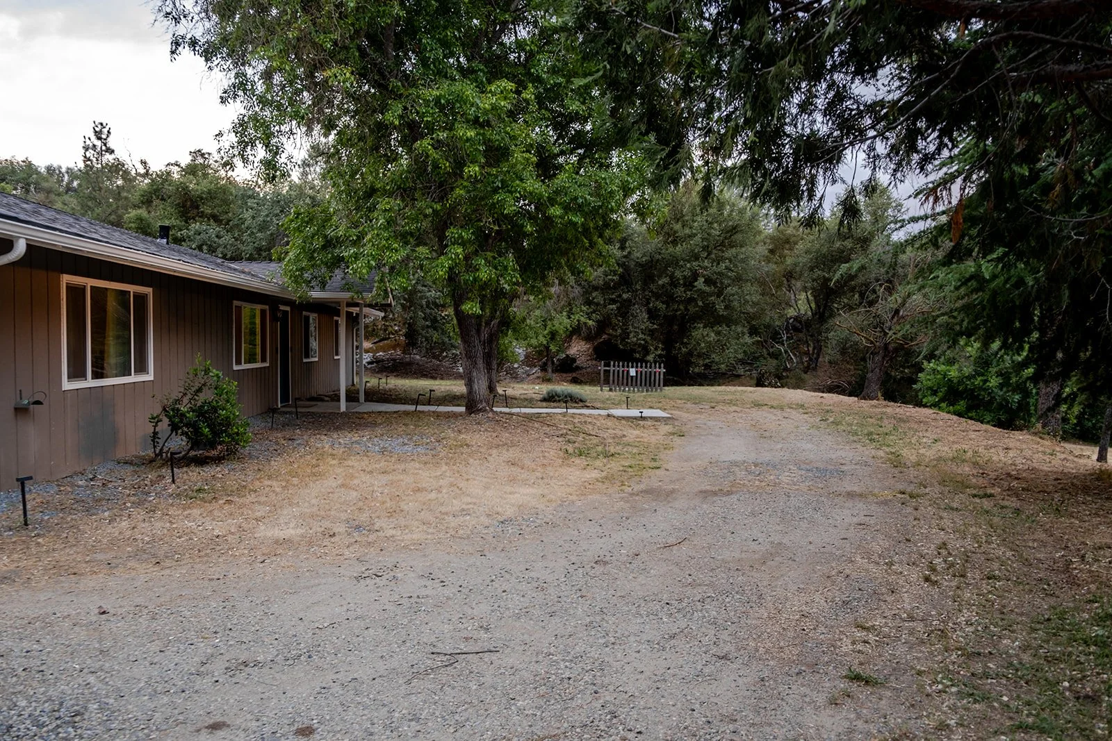 A house with brown exterior siding and white-framed windows, surrounded by a yard with a large tree, some bushes, and a dirt driveway leading into a wooded area.