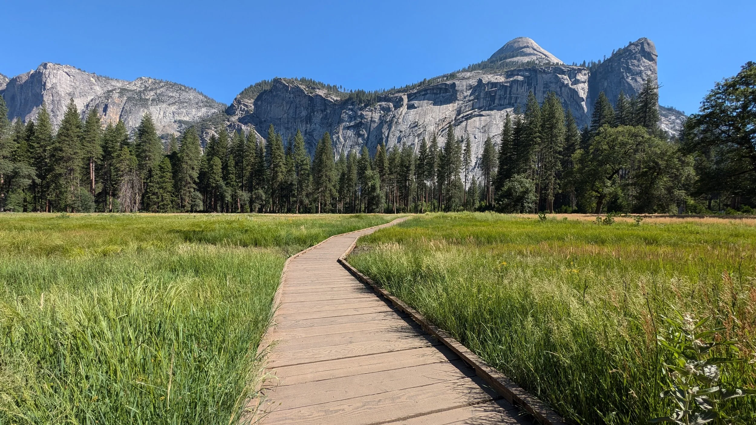 A wooden pathway through lush green grass leading towards tall pine trees and rocky mountain cliffs under a clear blue sky.