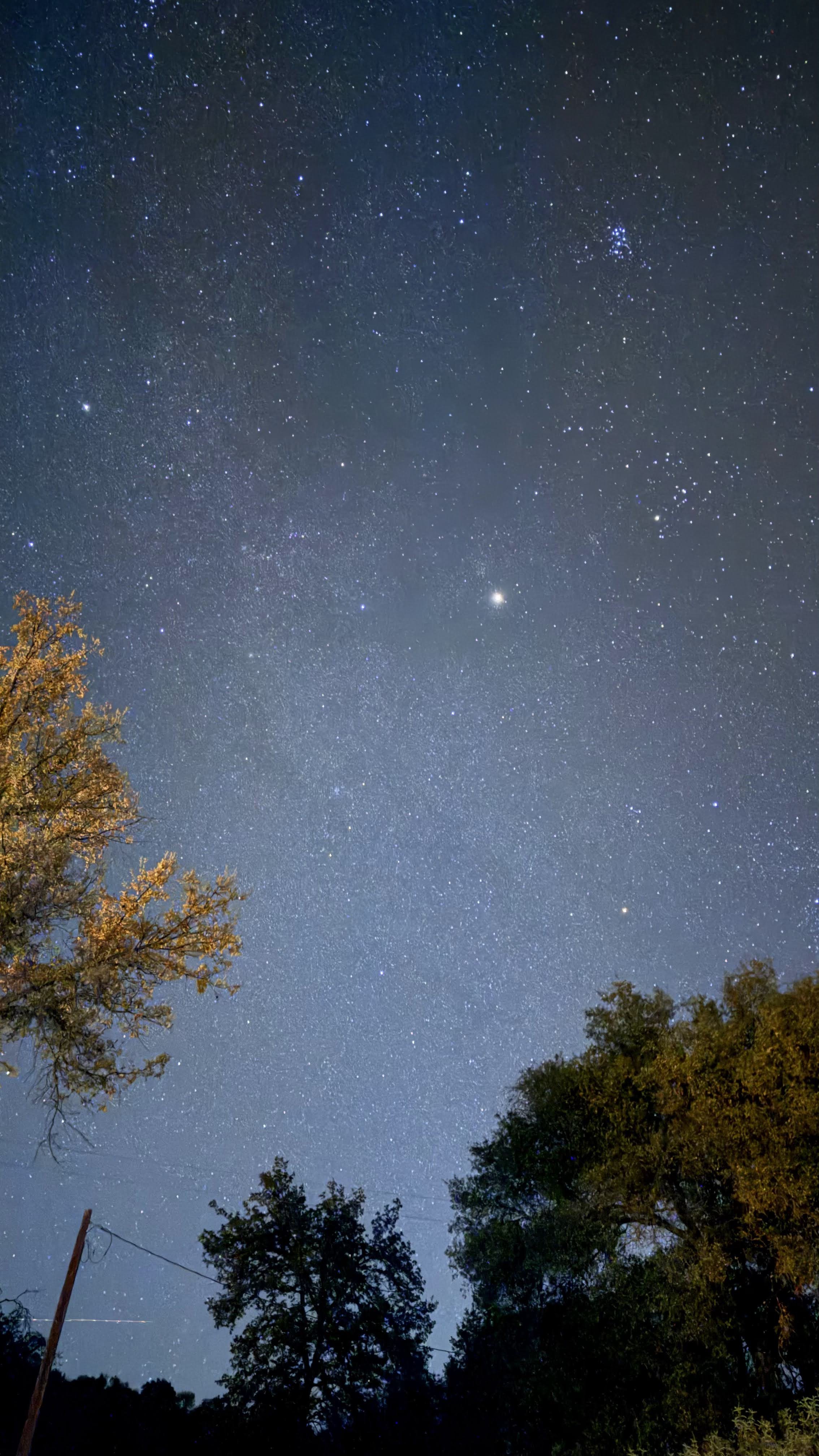 Night sky filled with stars, with a few trees and a power line in the foreground.