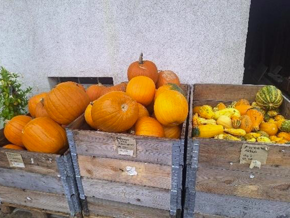 Regional einkaufen – nachhaltig oder Luxus?