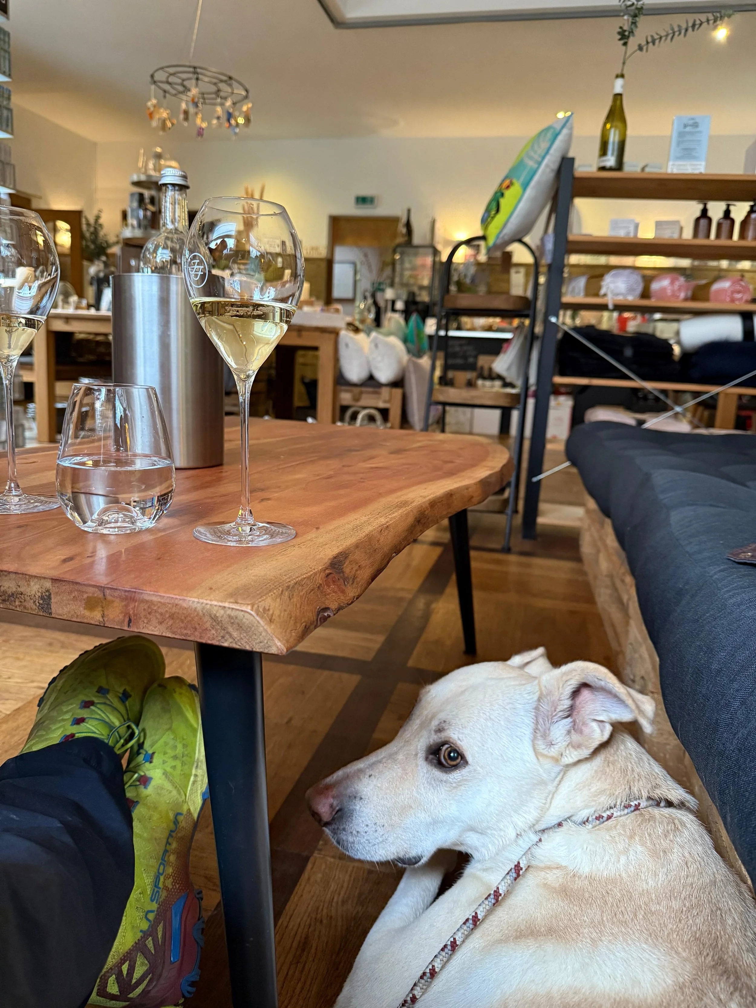 Designermöbel meets designerkost.jpeg