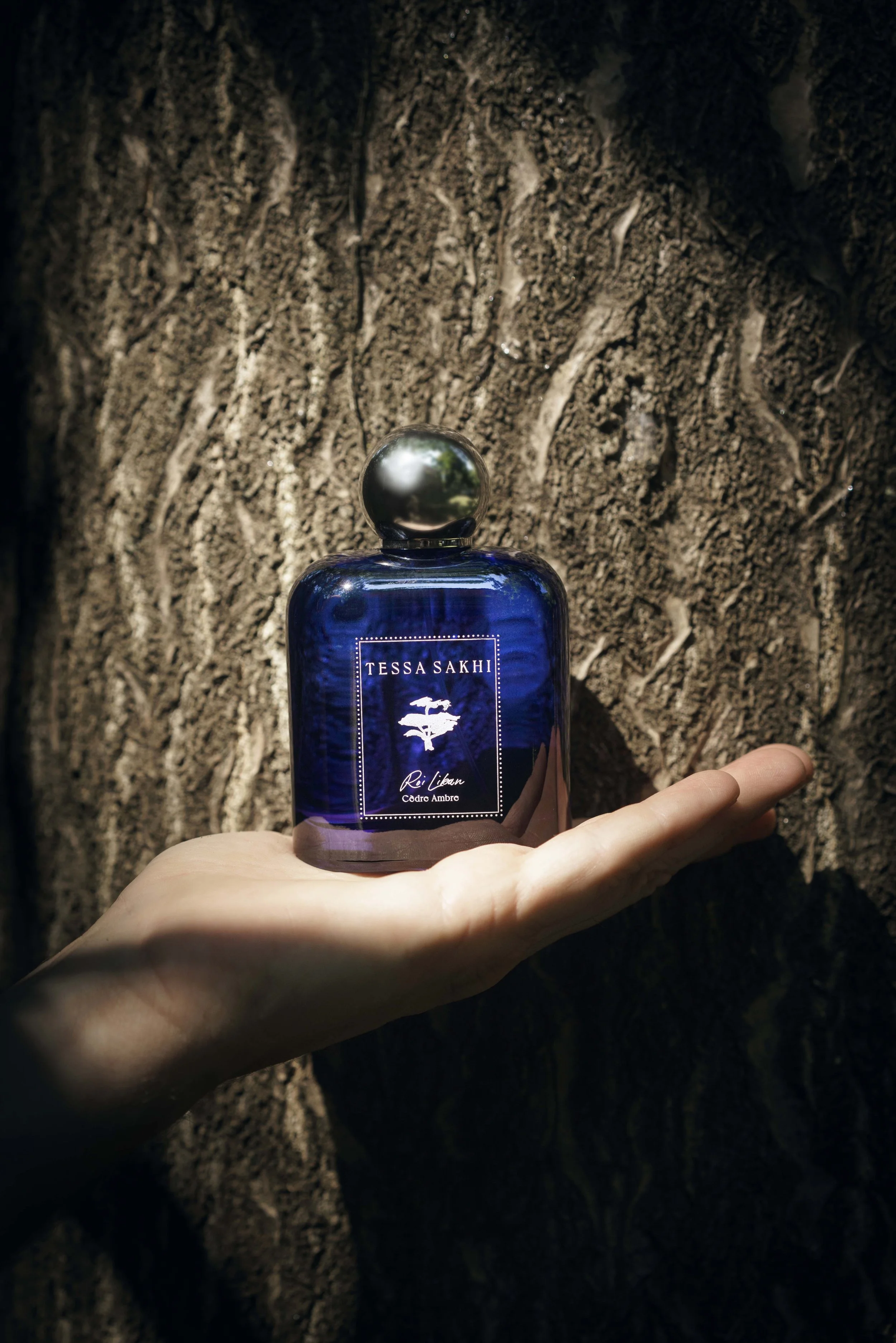 TESSA SAKHI_Homme_Roi Liban_Zaira Zarotti 1.jpg