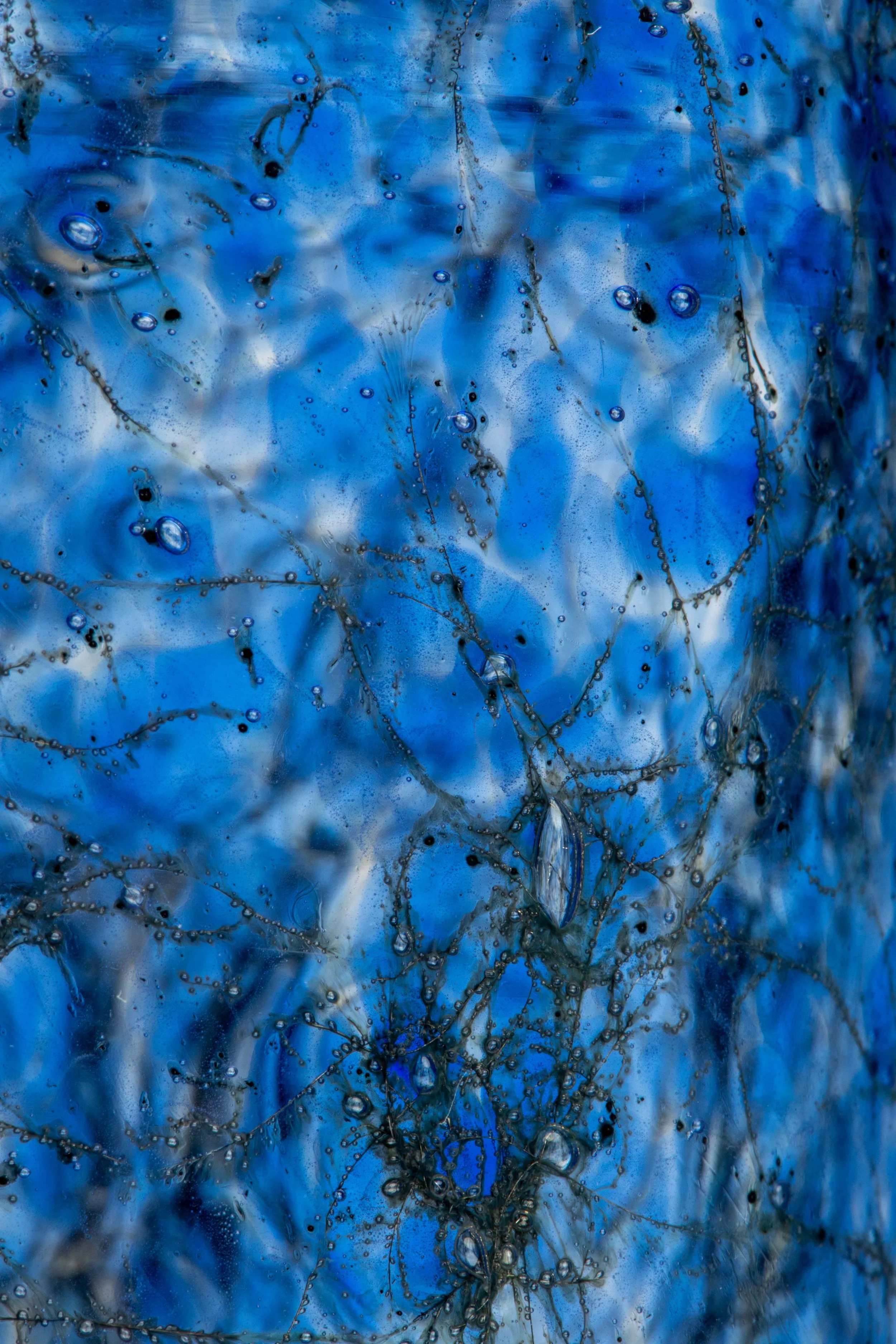 TESSA SAKHI_Tasting Threads_Murano Tableware_Alessandro Trevisan 37.jpg