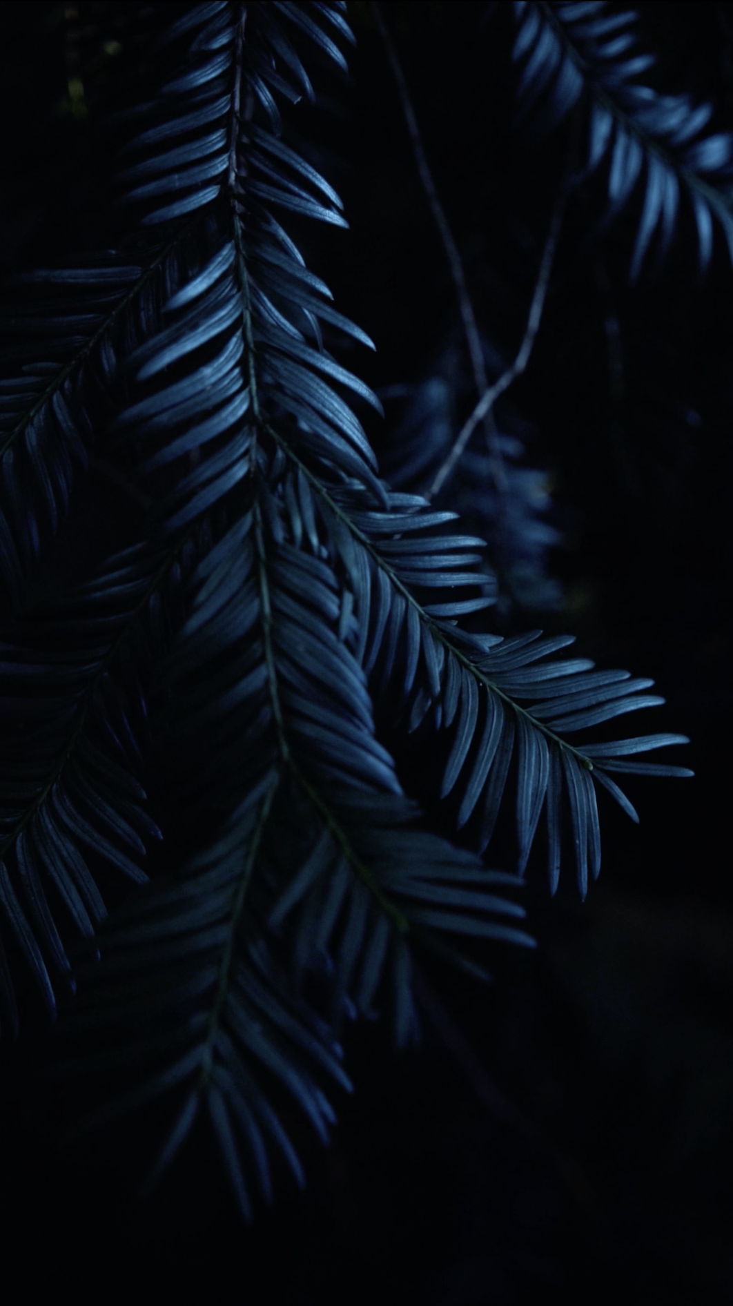 Screenshot 2026-02-08 at 20.05.58.png