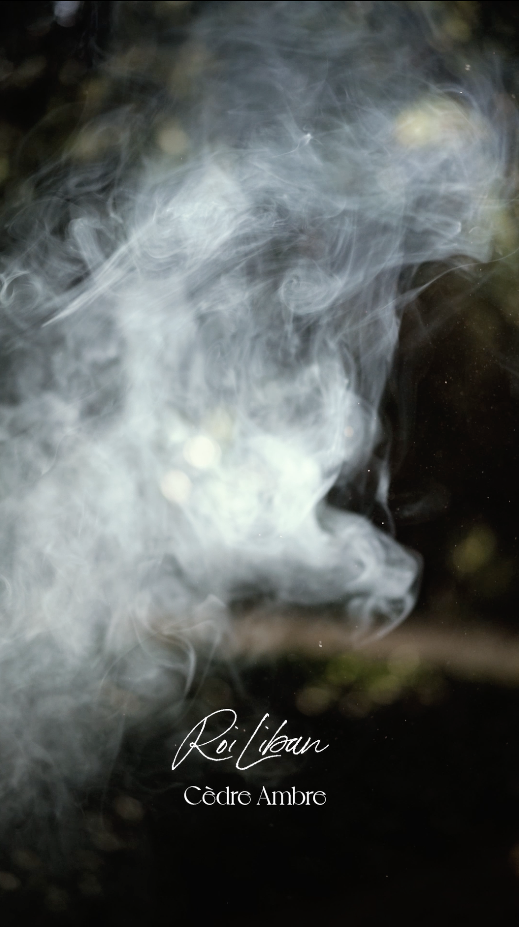 Screenshot 2026-02-08 at 20.07.37.png