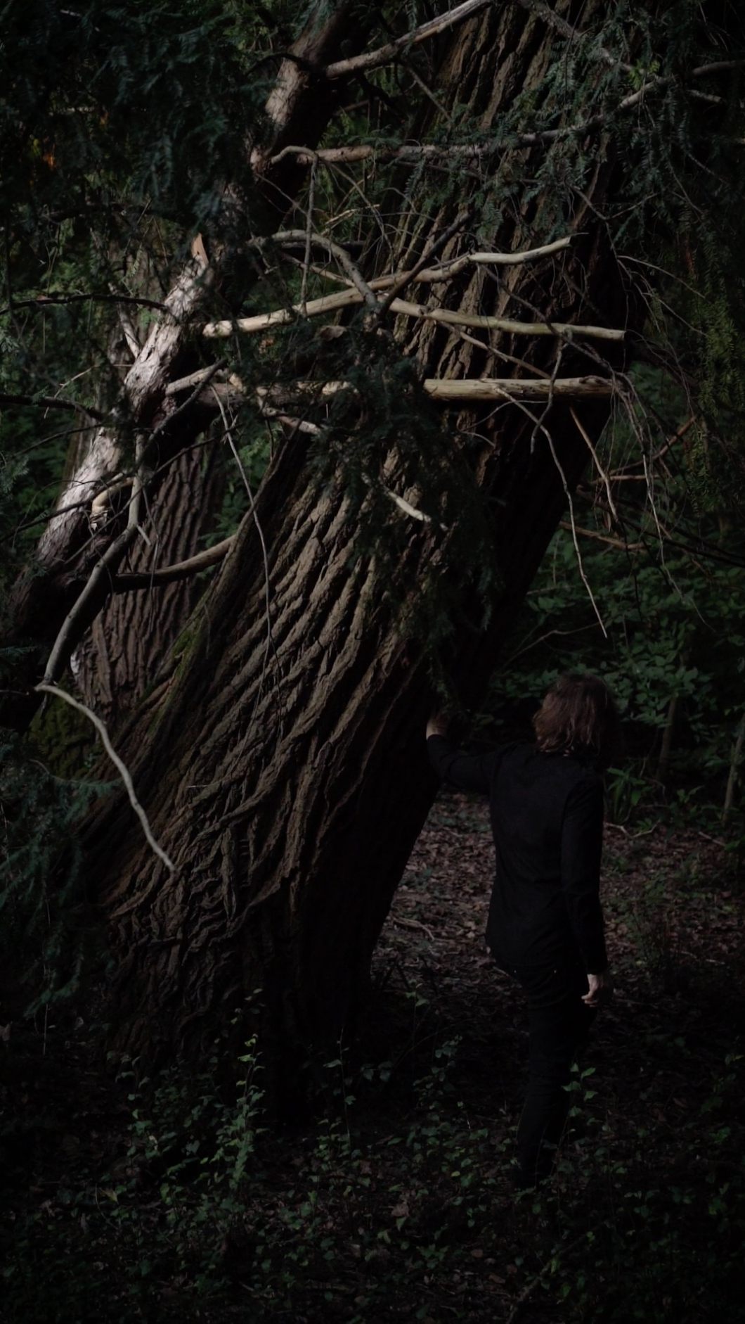 Screenshot 2026-02-08 at 20.05.06.png