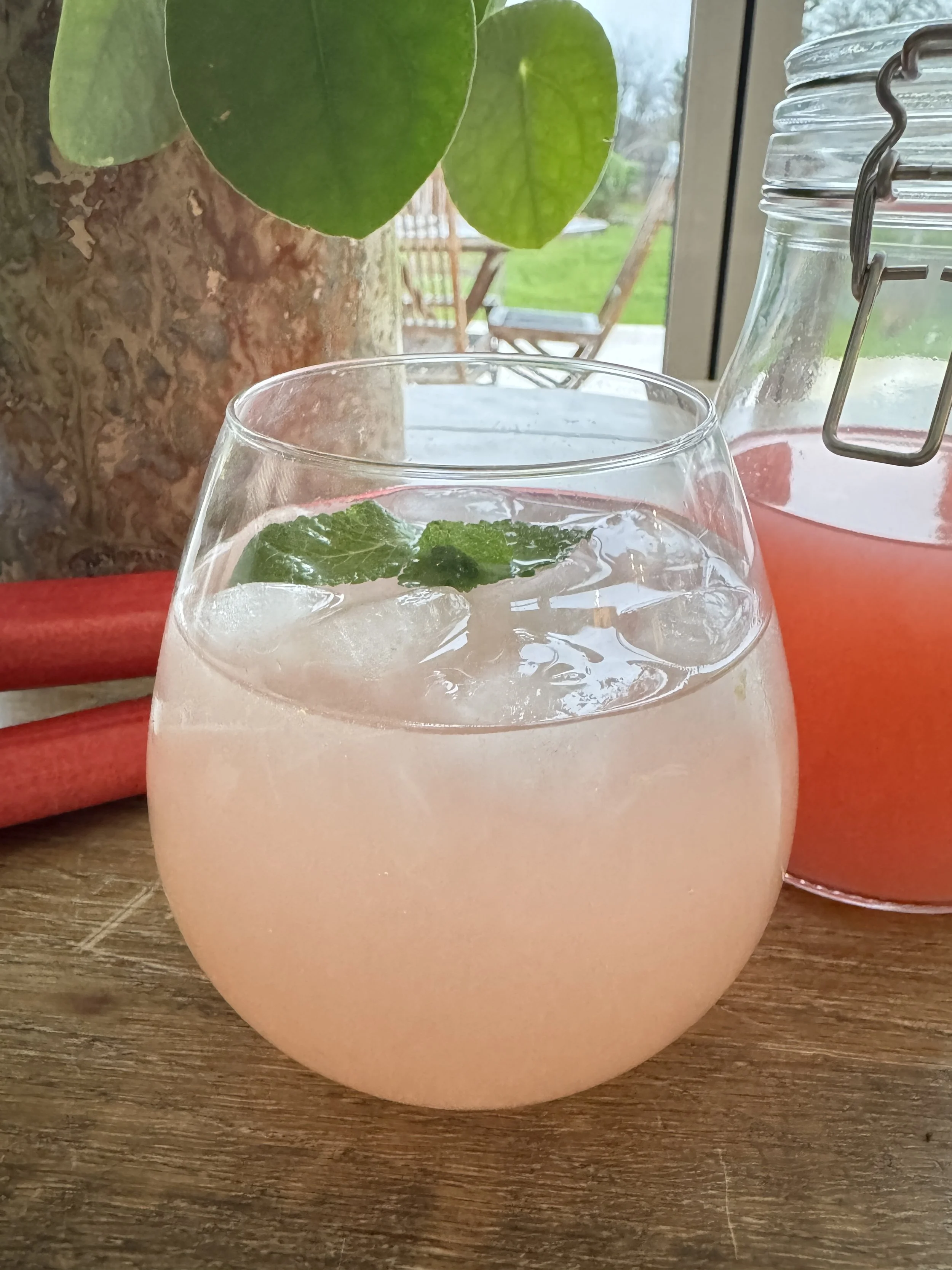 Rhubarb and Ginger Shrub