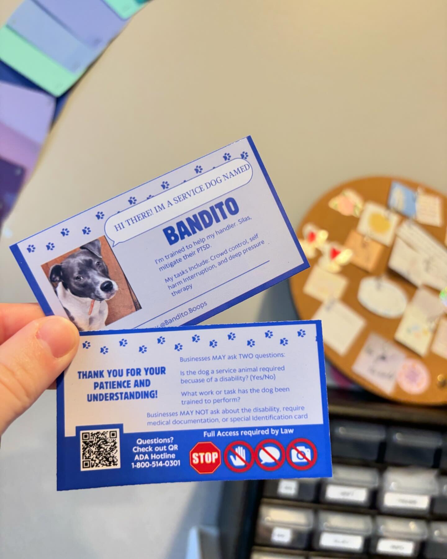 Our custom ada cards and &ldquo;today I met&rdquo; stickers up on our Etsy! Check them out and thank you to Maeve and Bandito for their orders! 🐕&zwj;🦺 💙 

#servicedog #servicedogintraining #servicedogsofinstagram #adacards #doggearforsale #adainf