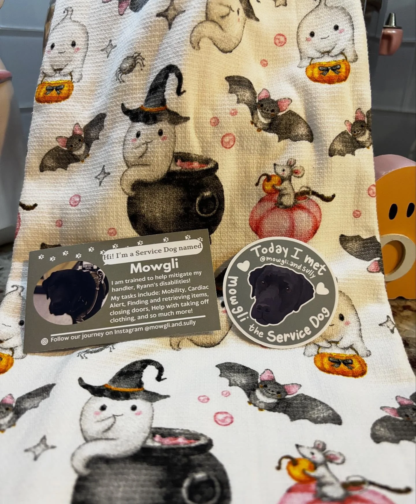 Orders going out this week! Happy Monday! 🤗

#smallbusiness #sprinksandrosieco #servicedog #blazinboutique #happymonday #stickerdesigns #adacards #happypups #disabilityawareness #youmatter!