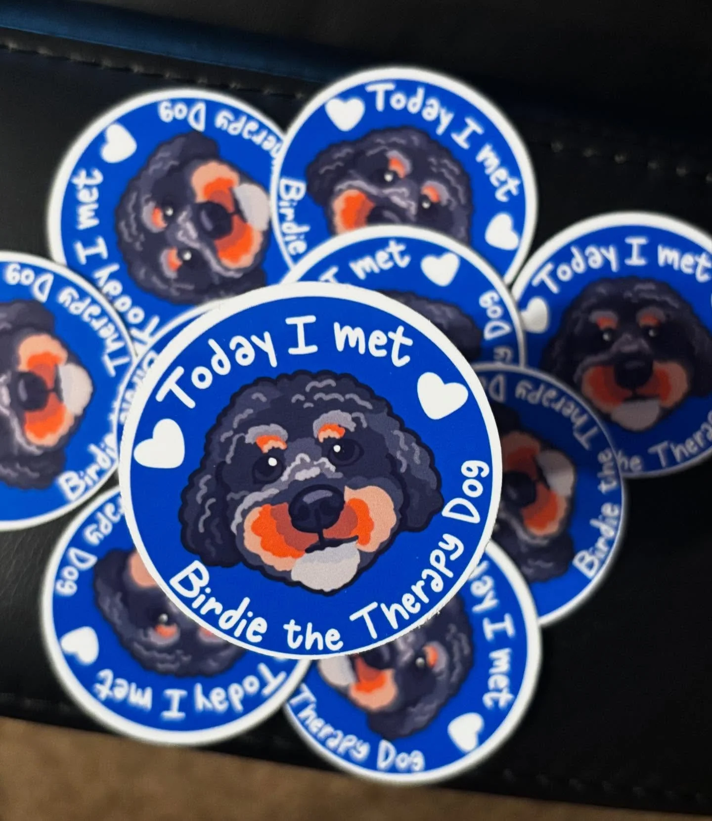 Latest orders of August!! ☀️ 🌳 ⛅️ 

#servicedogsofinstagram #therapydogsofinstagram #therapydog #servicedog #assistancedog #youmatter #invisibledisability #disabiltiyawareness #ada #usalaw #adacards #petart #petstickers #servicedogstickers
